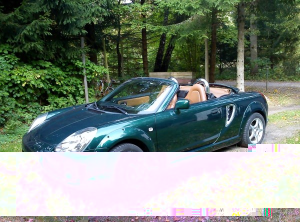 MR2 - kopia.jpg