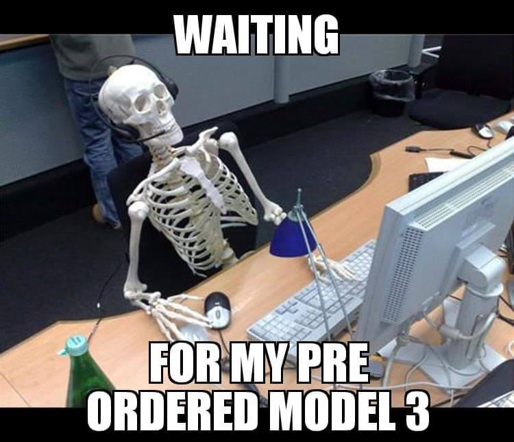 waiting_tesla_M3.jpg