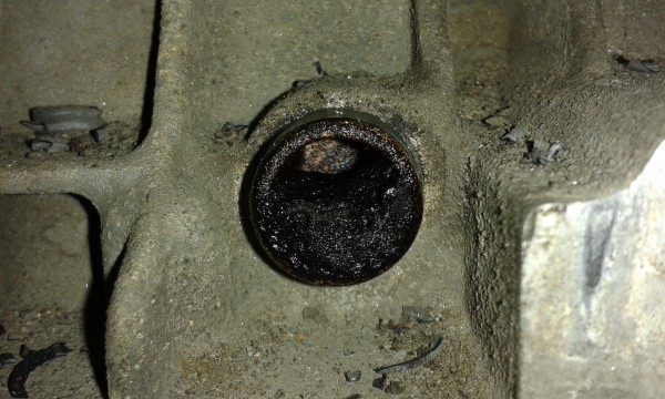 20141004_130504.jpg