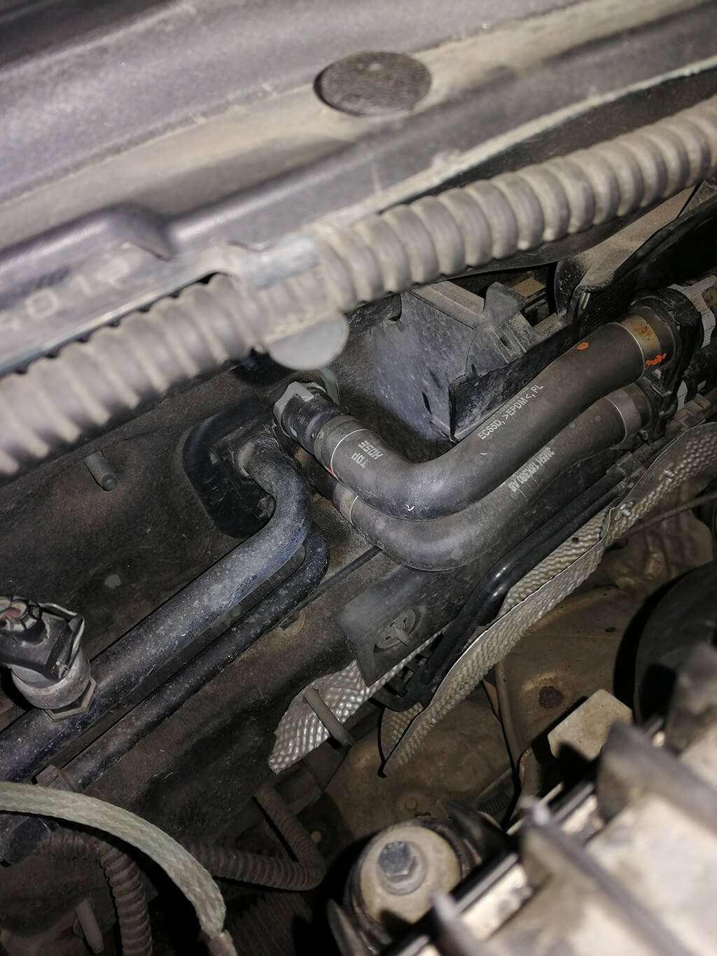 2018-12-27 16.13.48.jpg