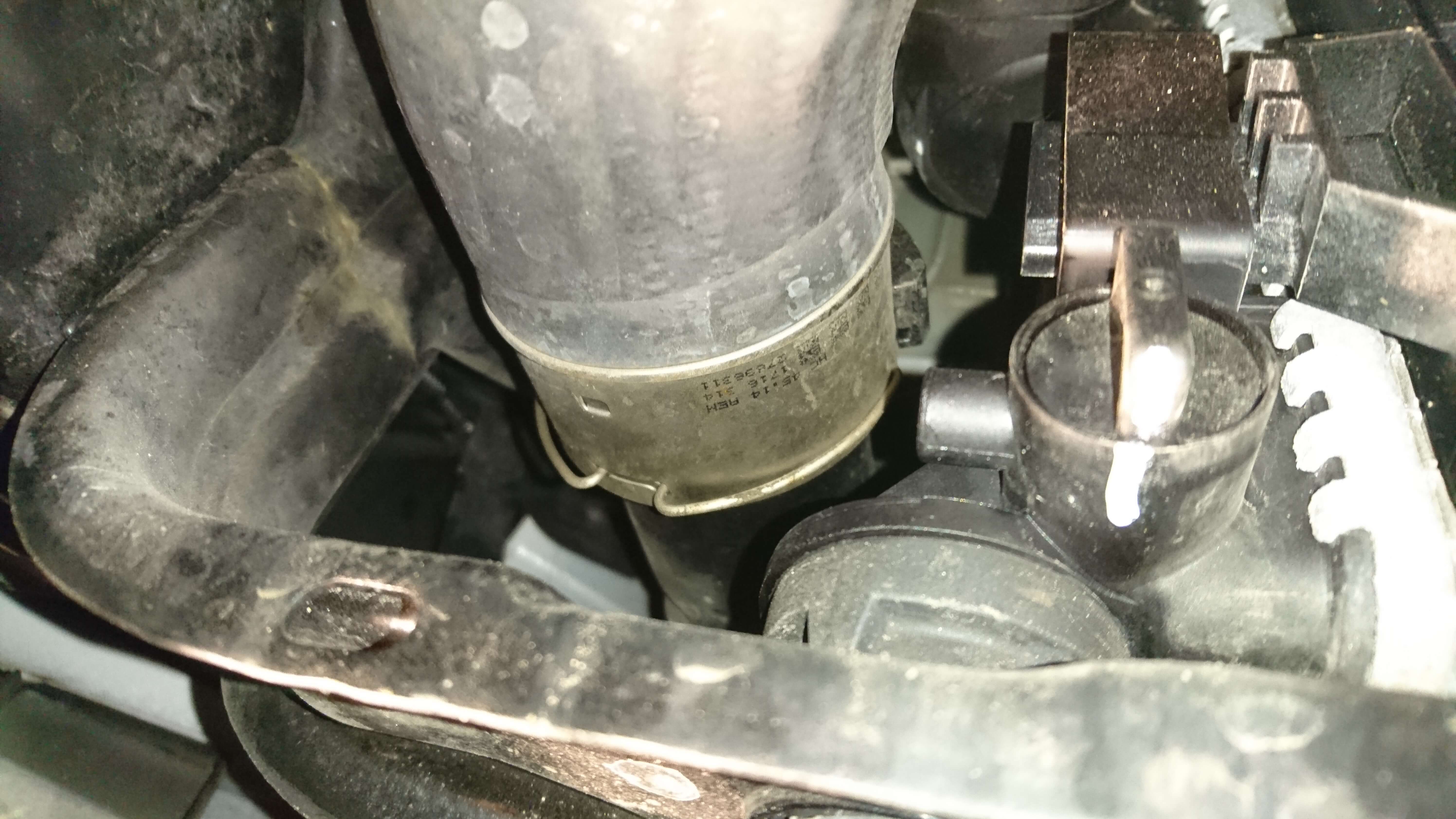 DSC_1125.JPG