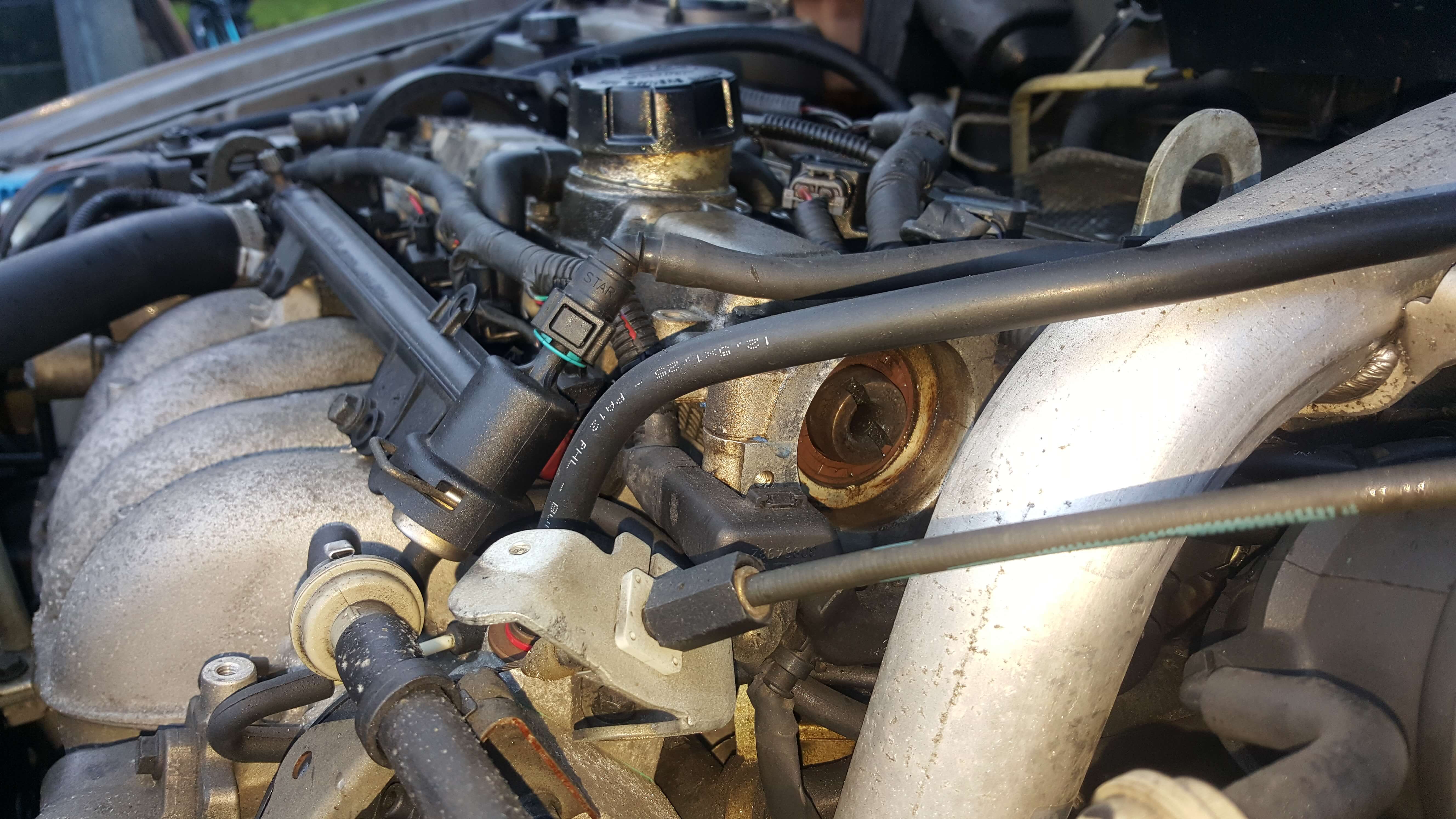 vvt.jpg