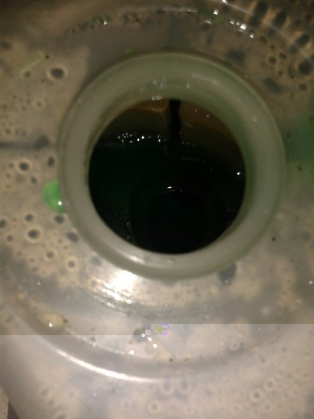 IMG_20141202_181923.jpg