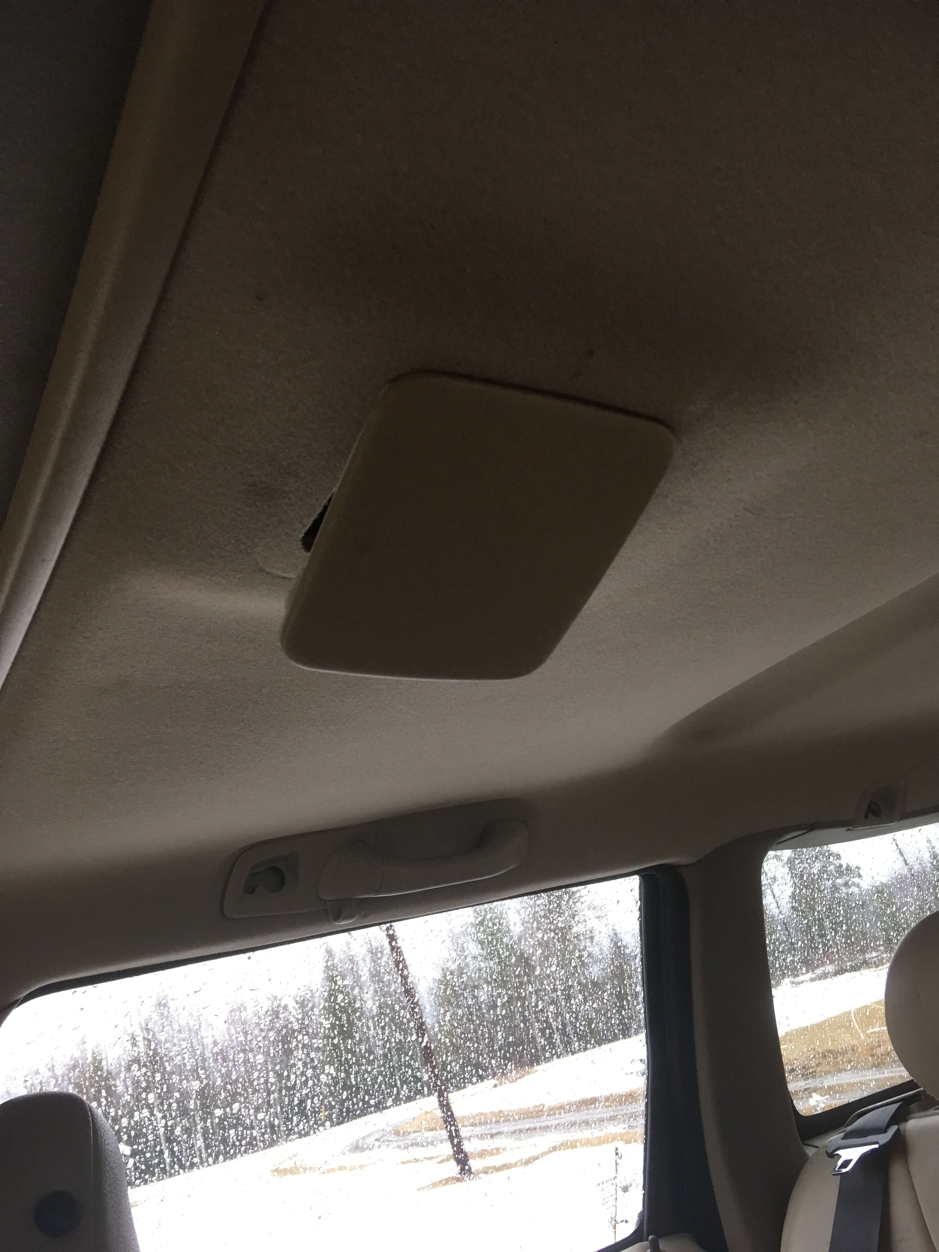09613522-7B49-4C55-883D-D1C879AB48E2.jpeg