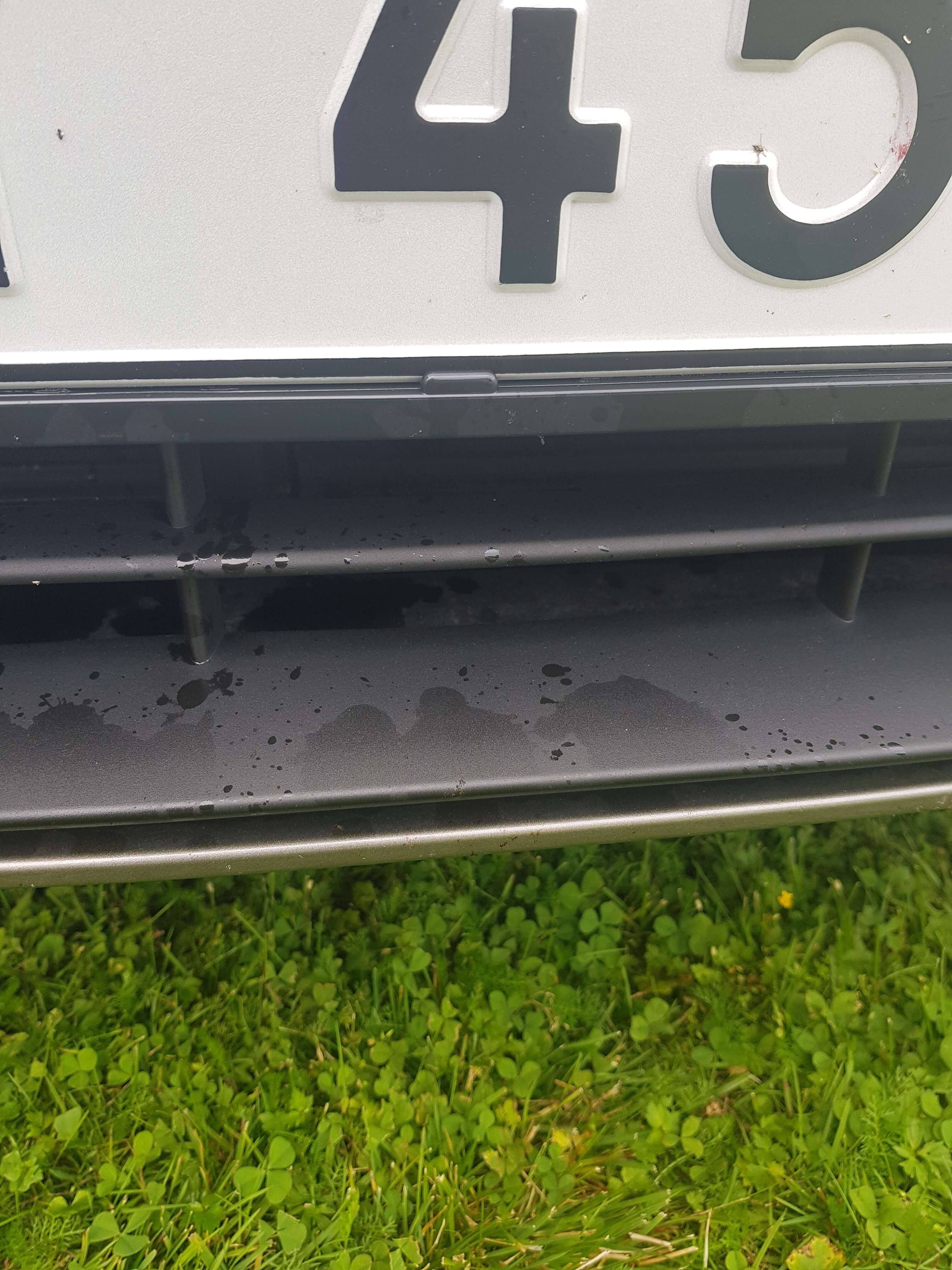 20190801_134244.jpg