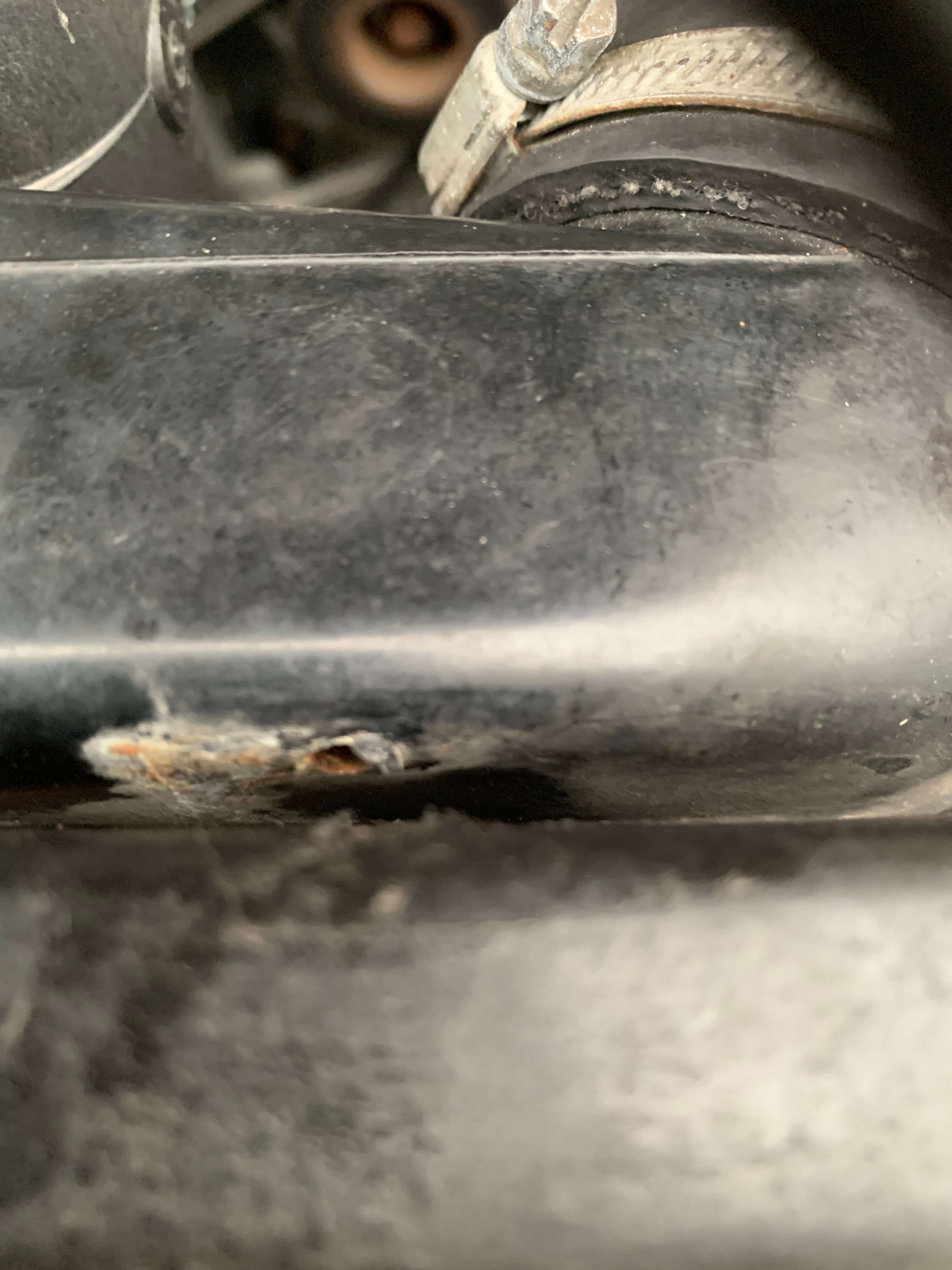53DAEC05-8D4C-4301-BF13-651A4ED37F76.jpeg