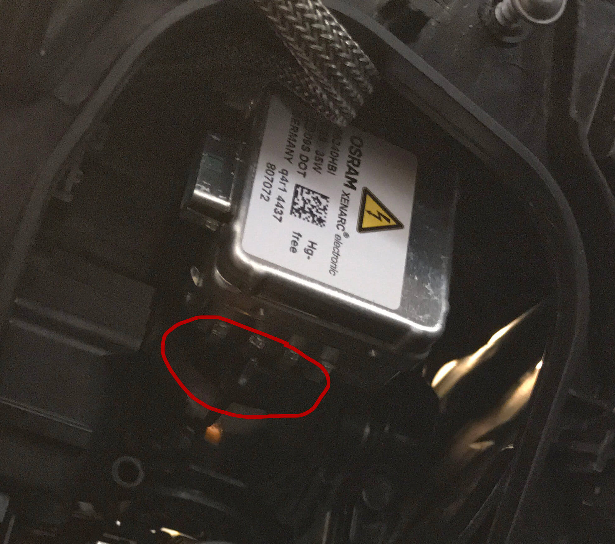 xenon2.jpg