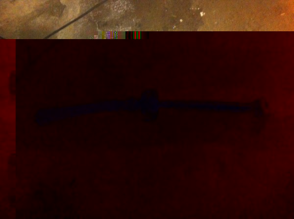 image.jpg