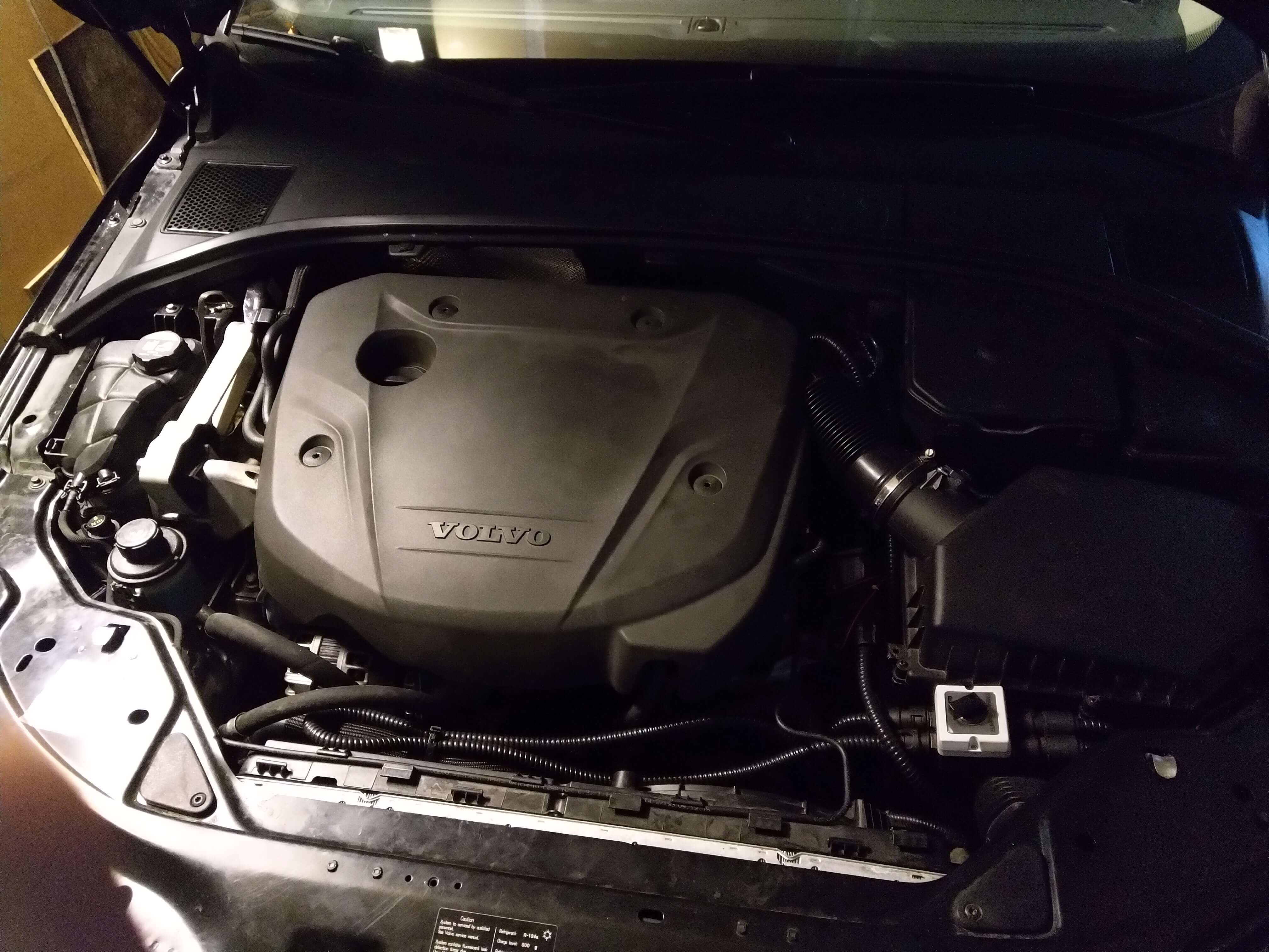 IMG_20200710_131141 (002).jpg