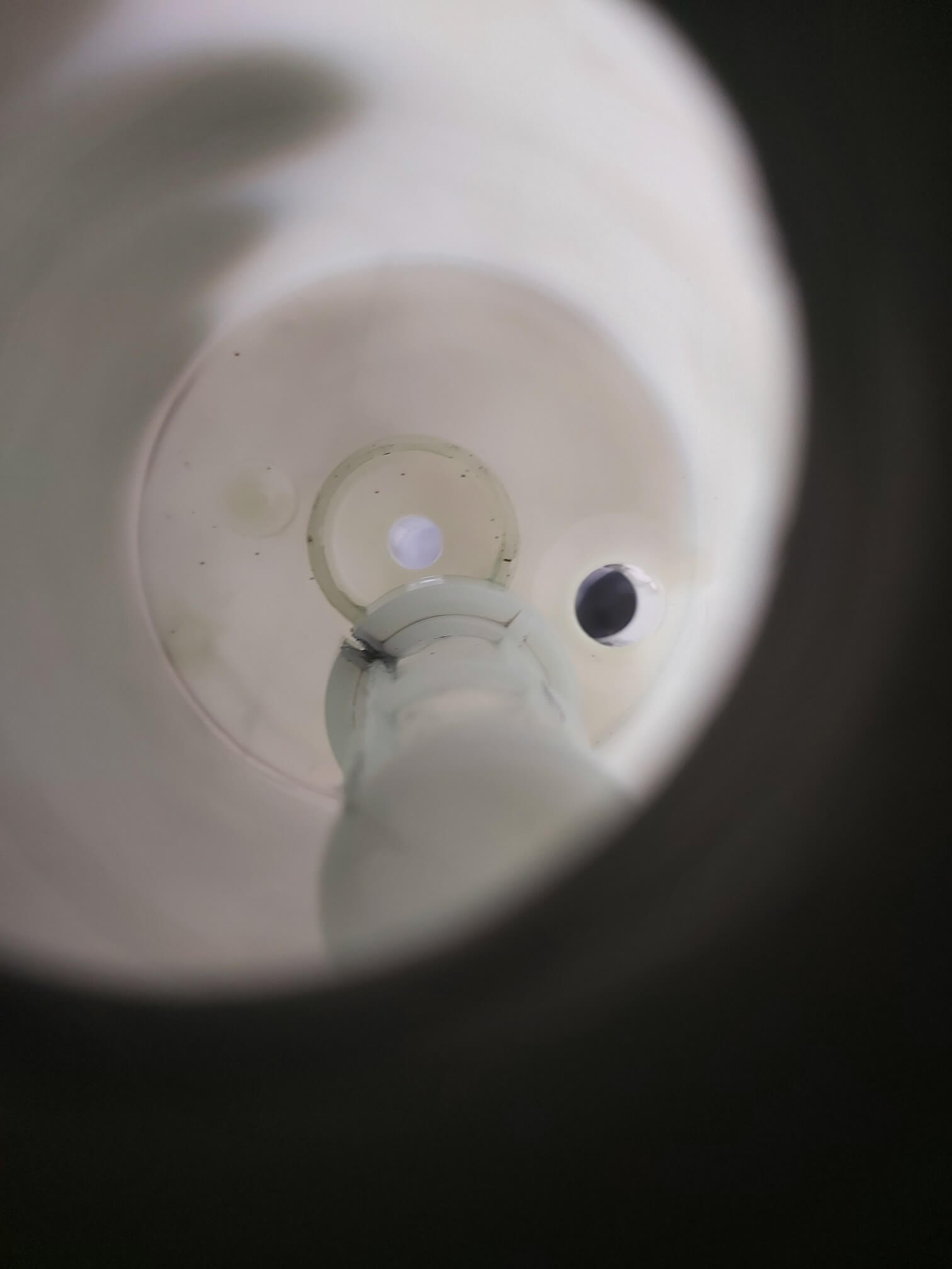 20200728_192217 - Copy.jpg