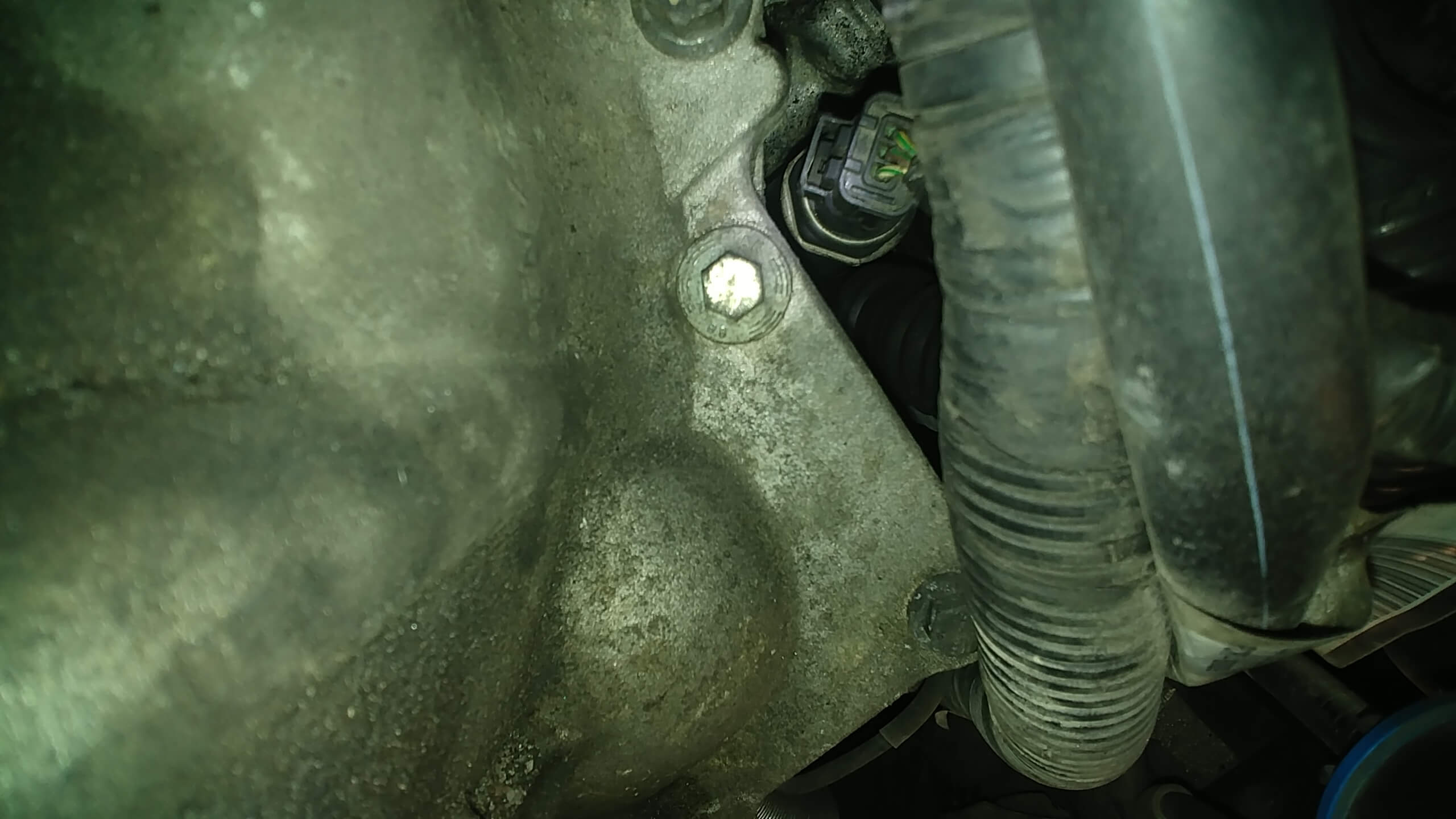 20200816_151357.jpg