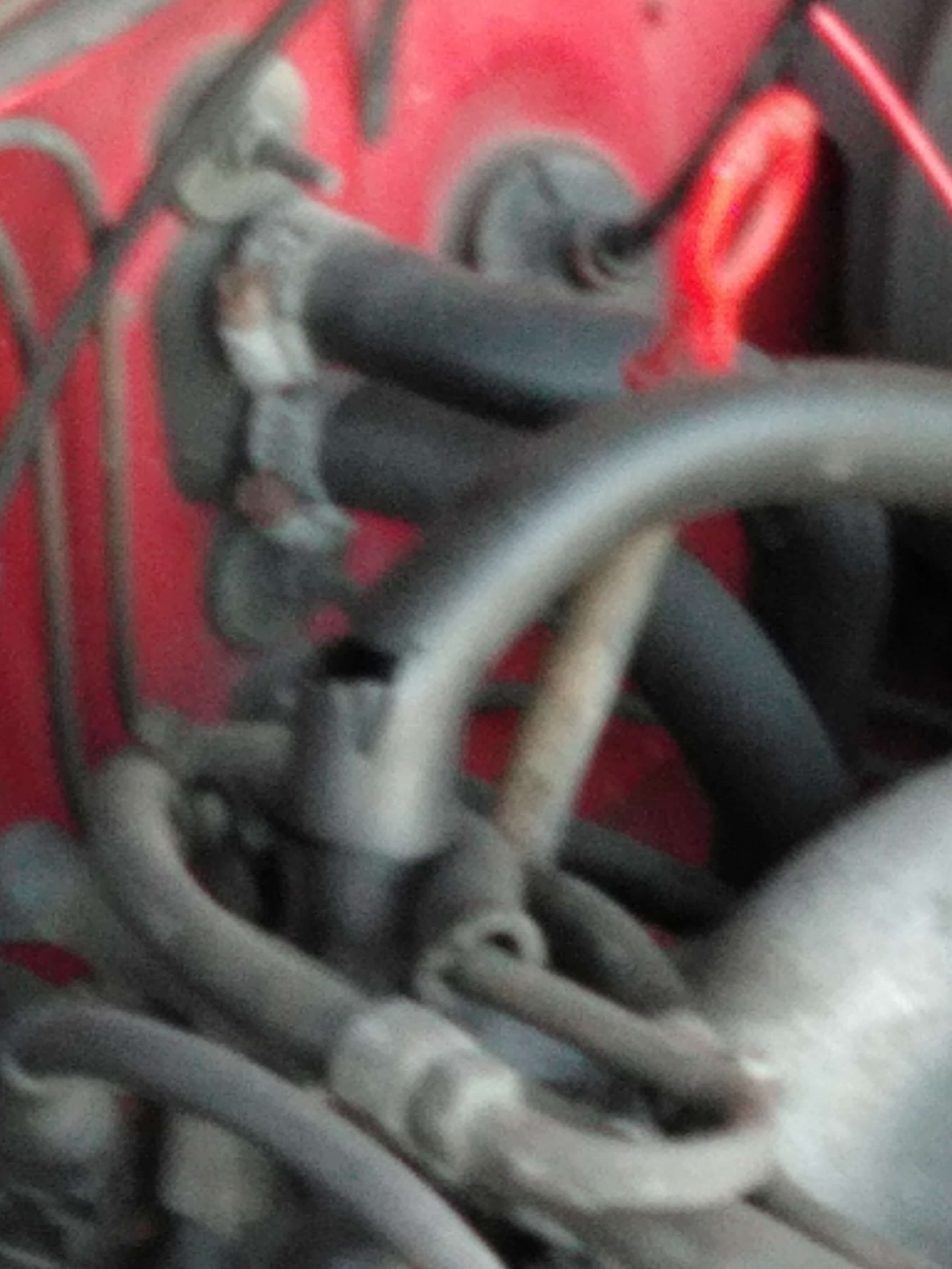 MVIMG_20200829_193413.jpg