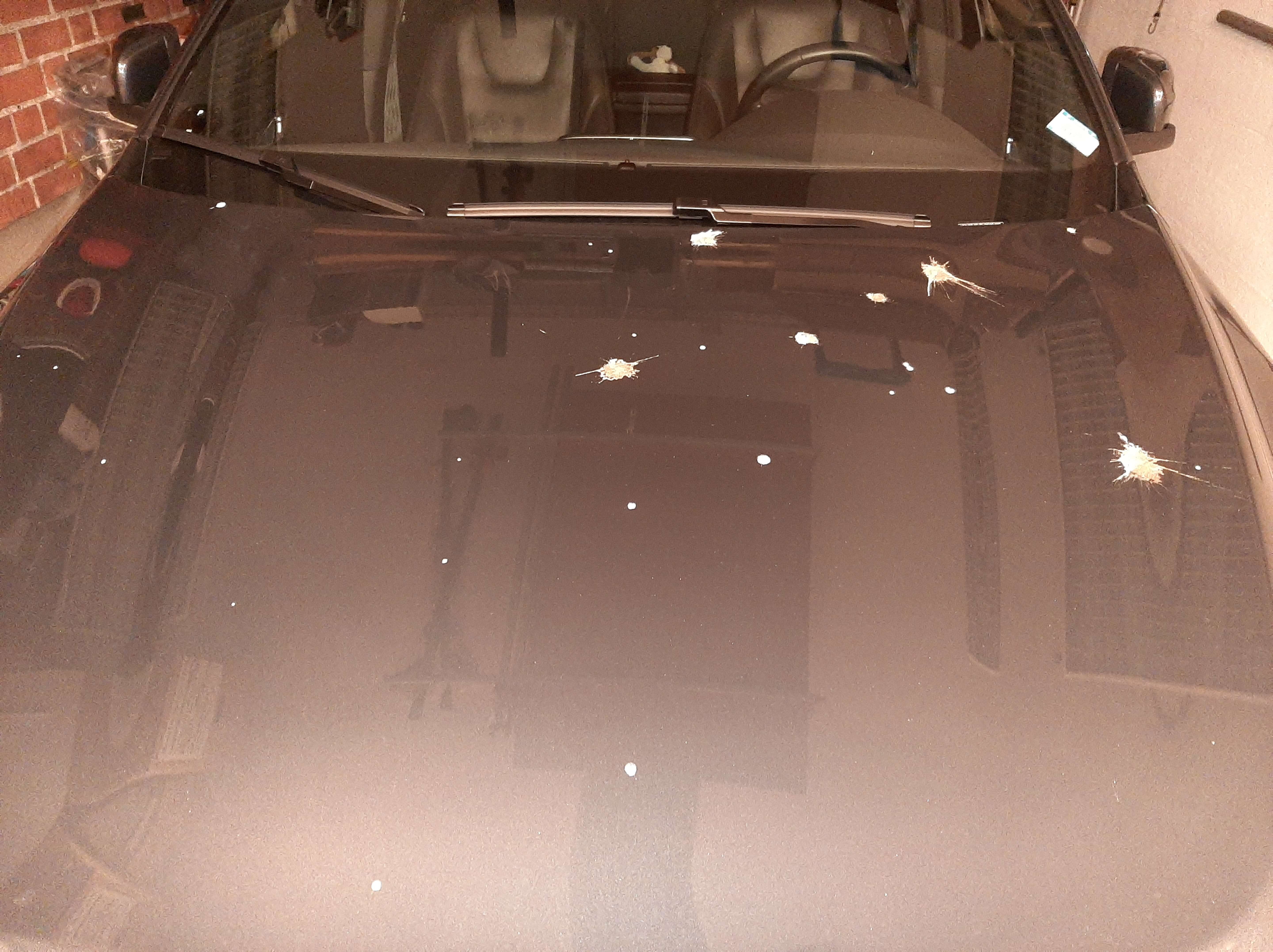 20201005_184130.jpg
