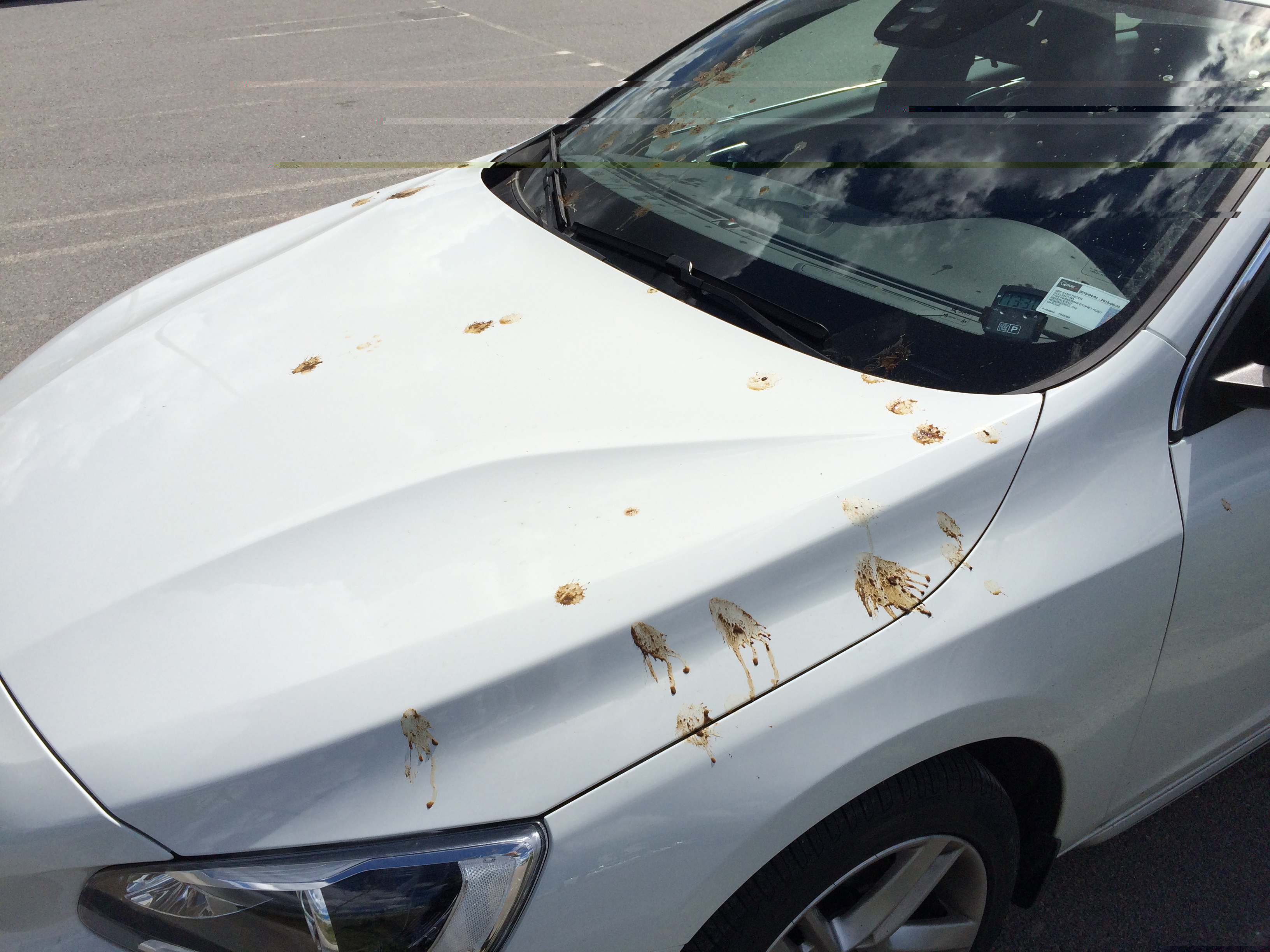 2015-05-20 13.10.12.jpg