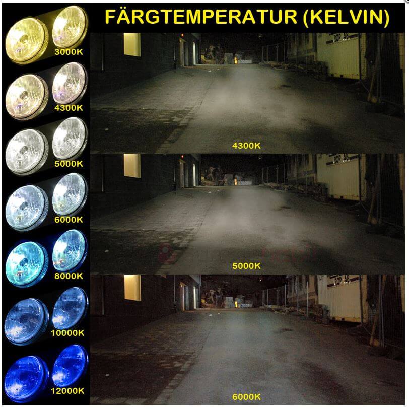 kelvin.jpg