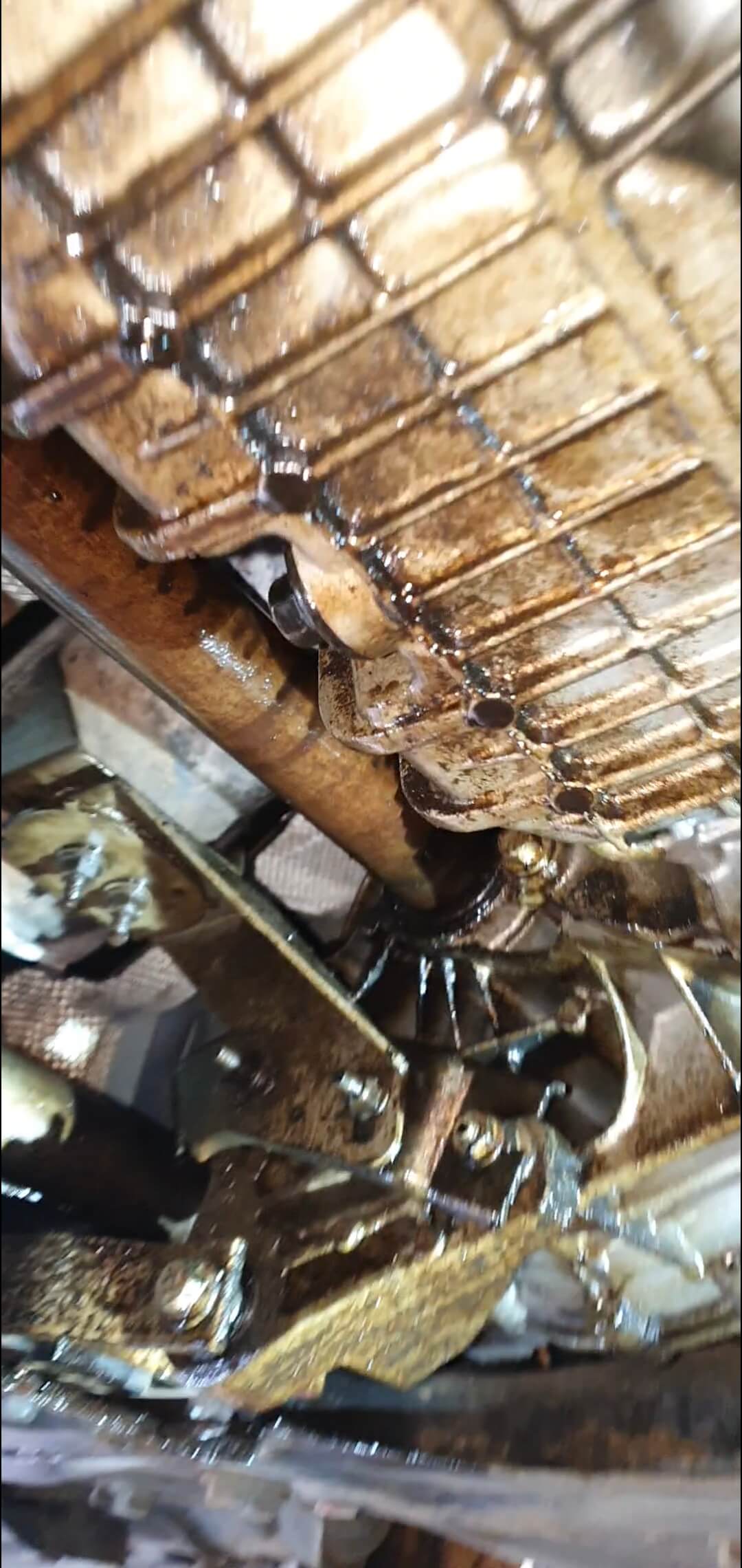 Screenshot_20210222-214314_Video Player.jpg