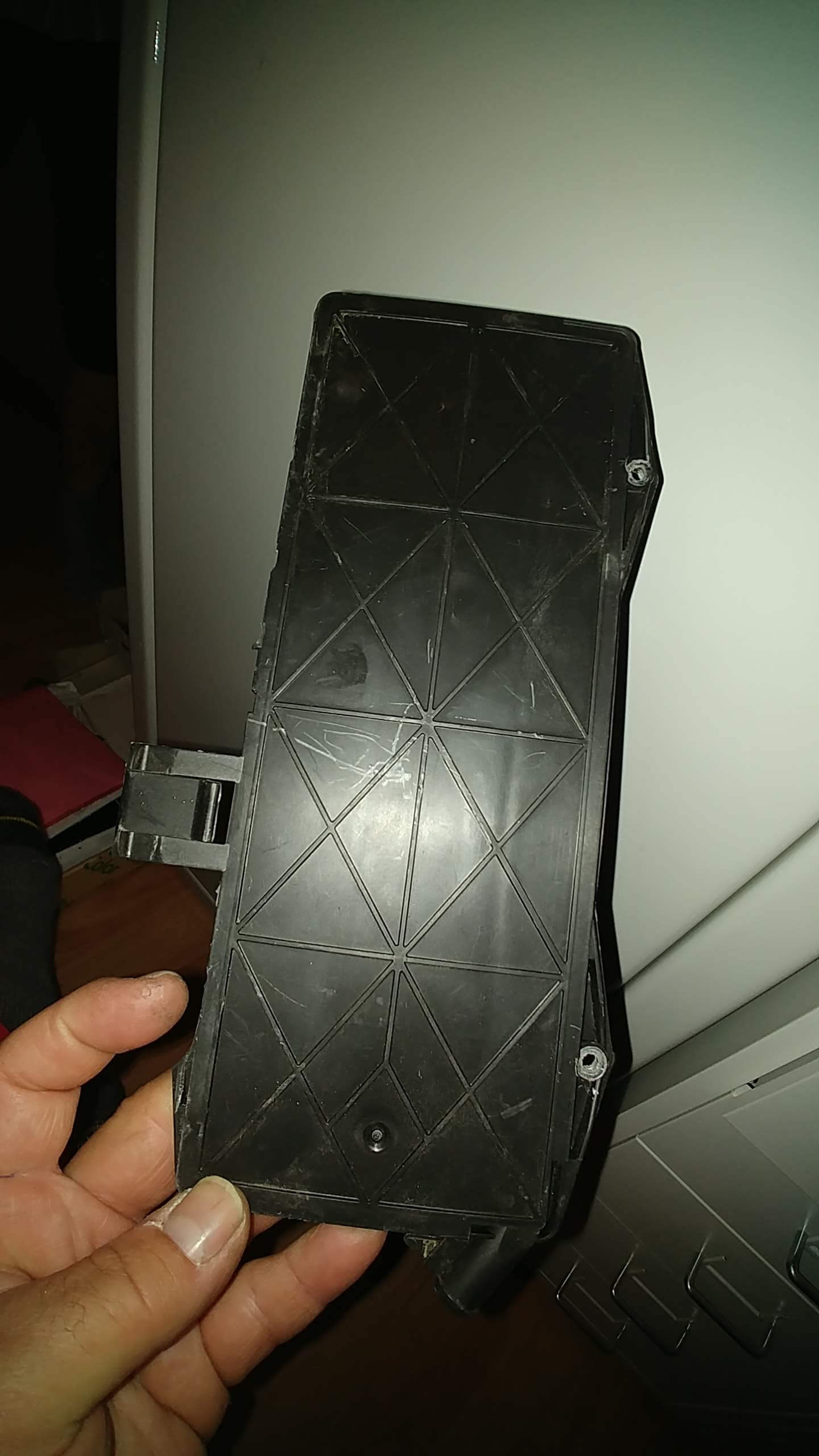 20210810_223643 mitt lock med avbrytna öron.jpg