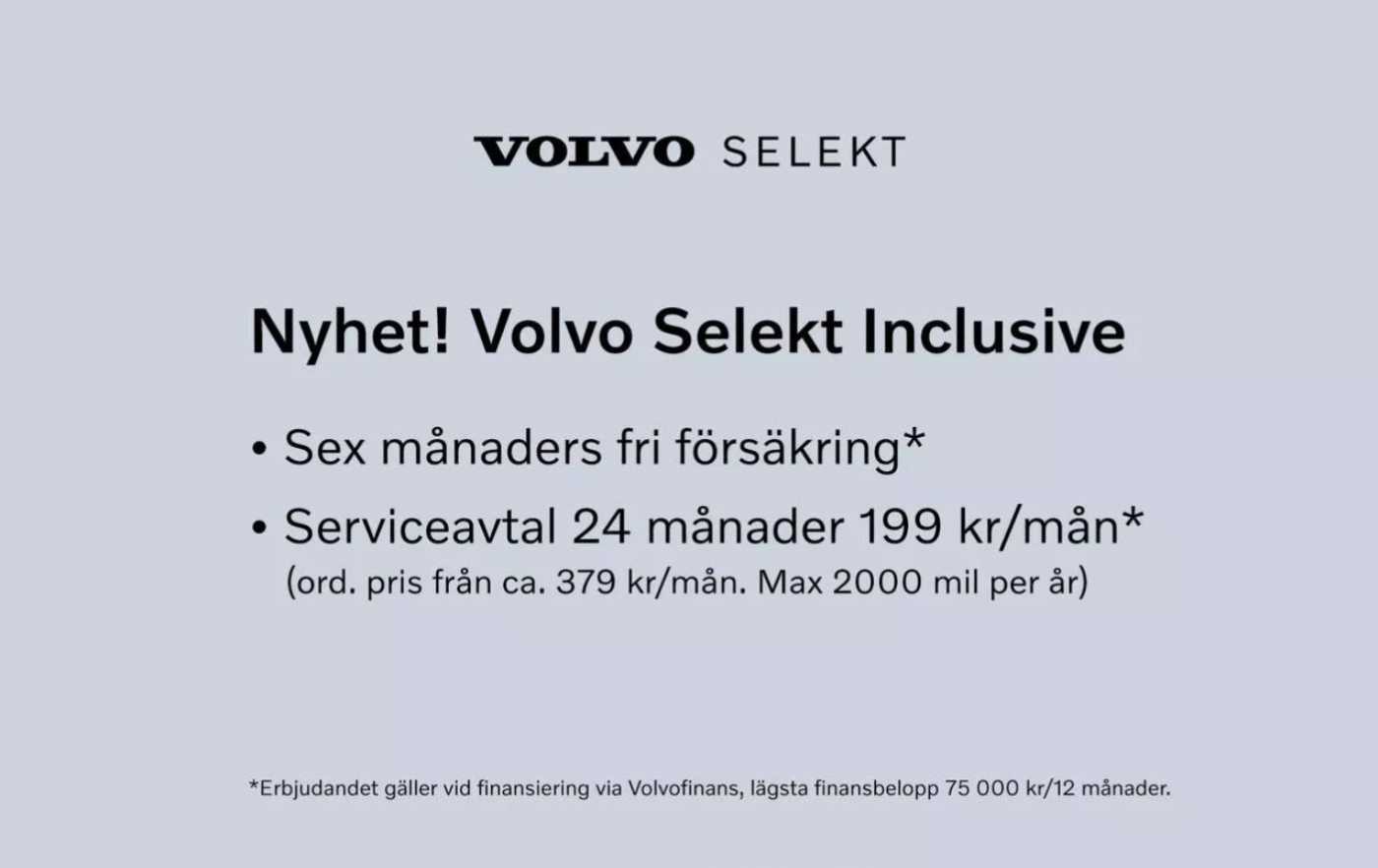 selekt.jpg