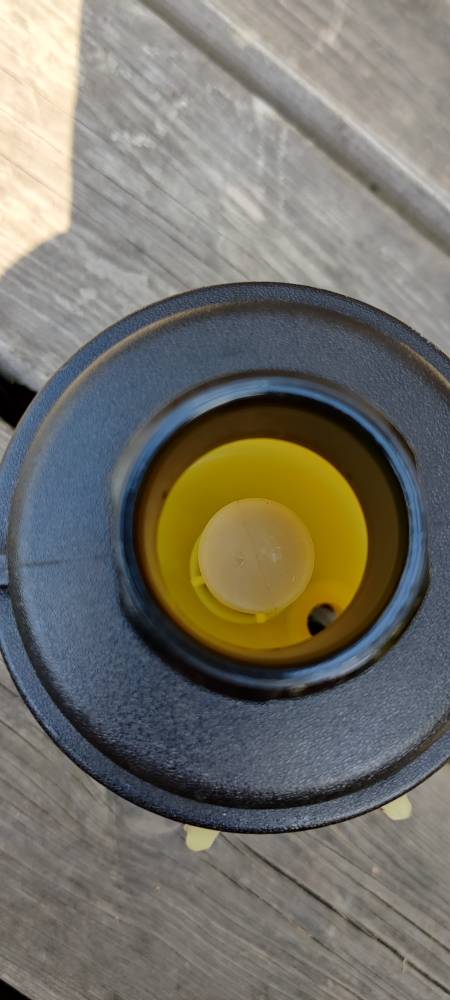 IMG_20220721_134841.jpg