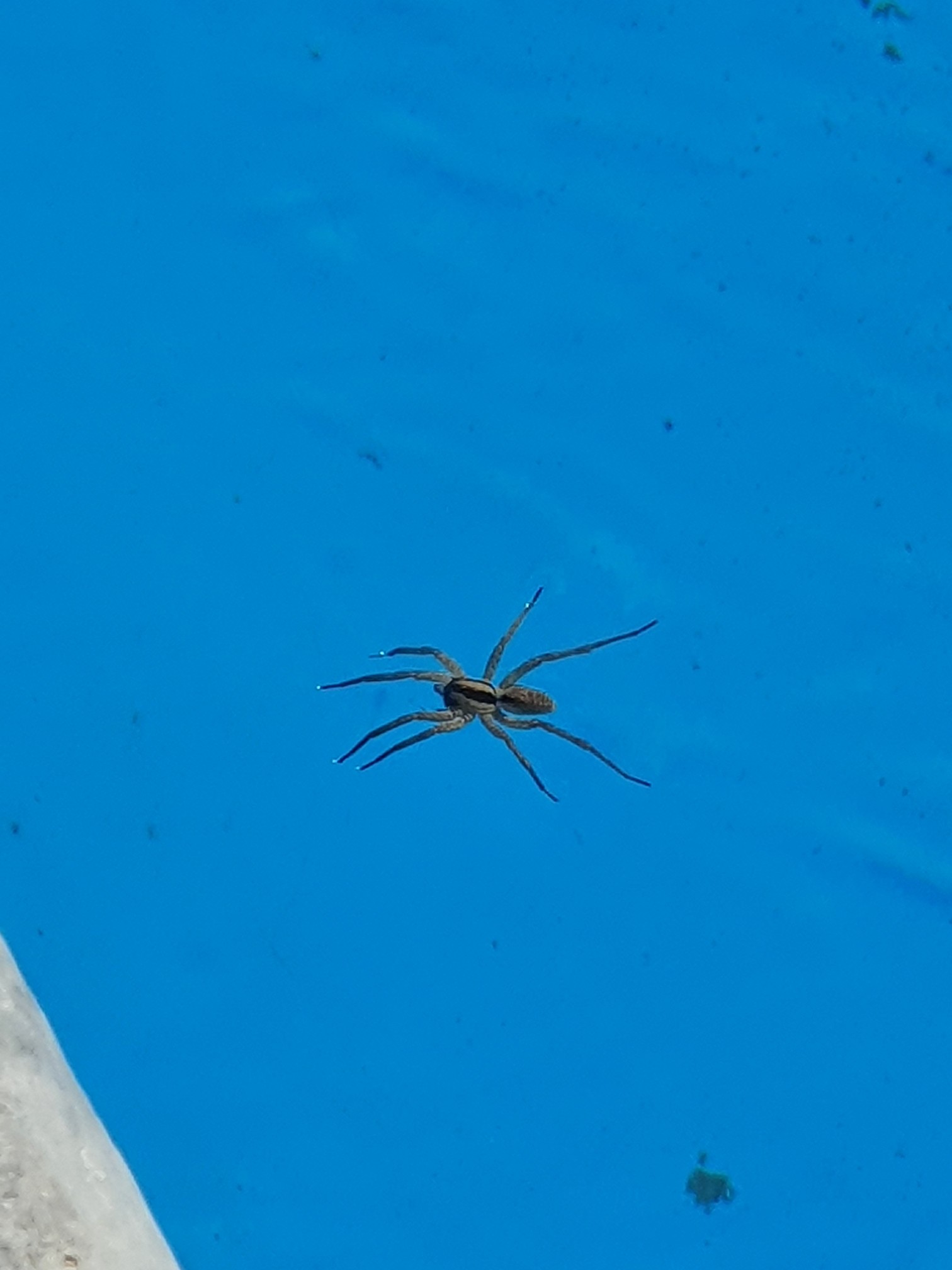 20220731_094627_copy_1512x2016.jpg