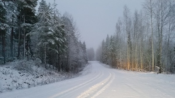 20151119_082233.jpg