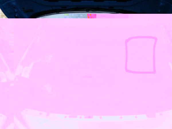 uploadfromtaptalk1451631762383.jpg