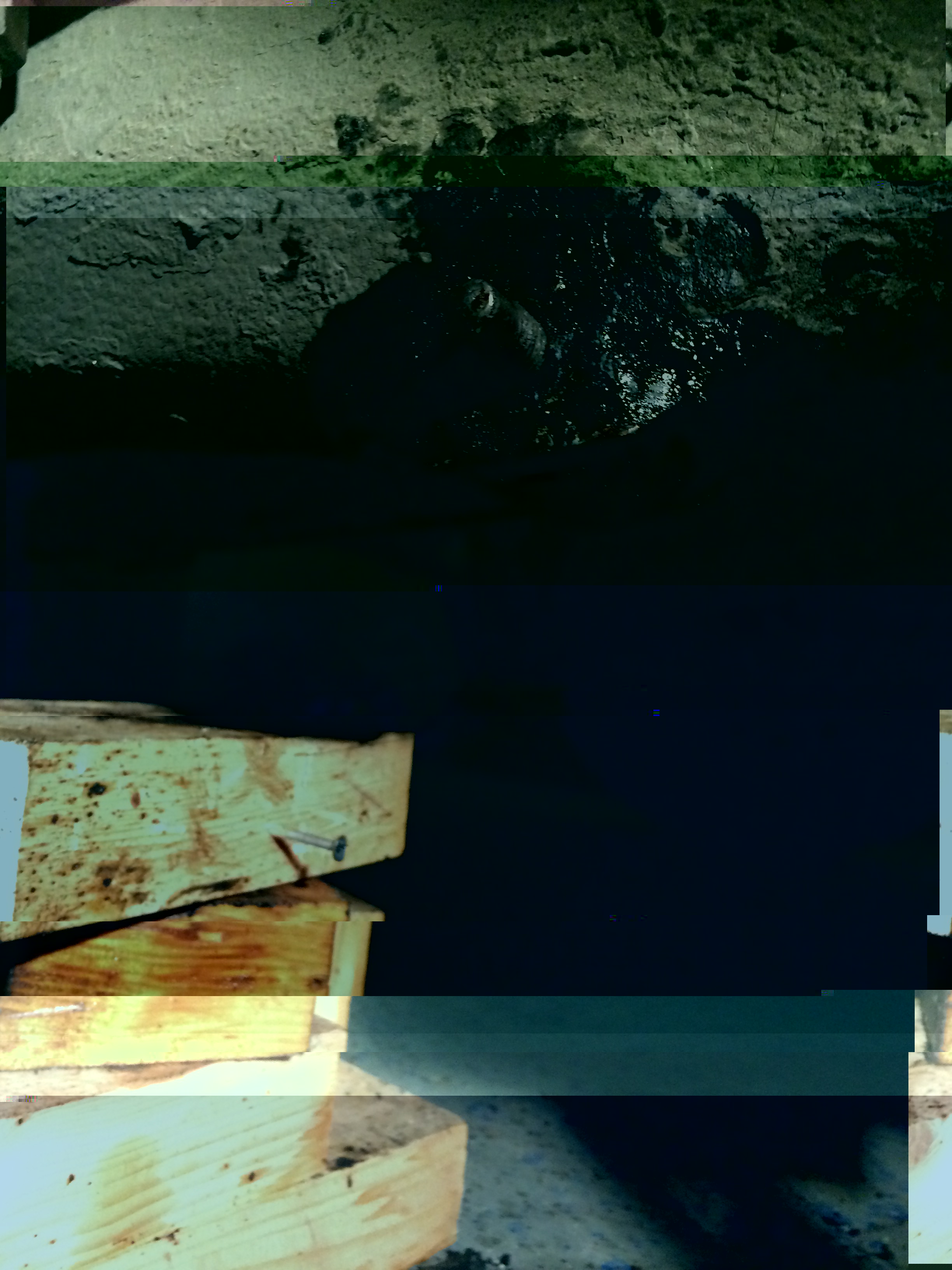 2016-01-18 21.42.11.jpg