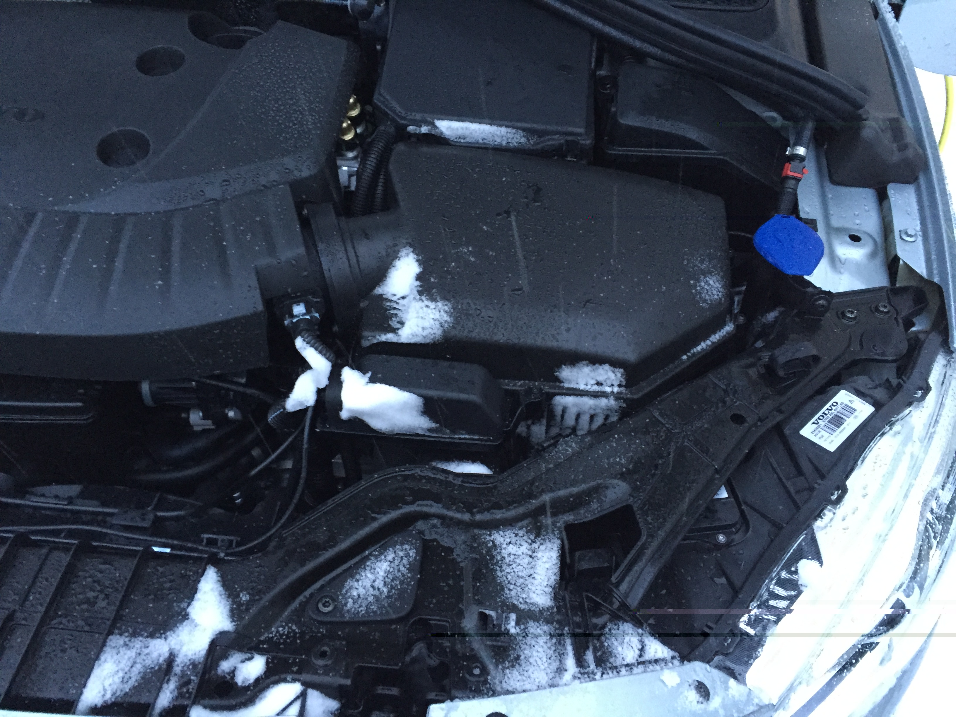 2015-12-18 10.36.46.jpg