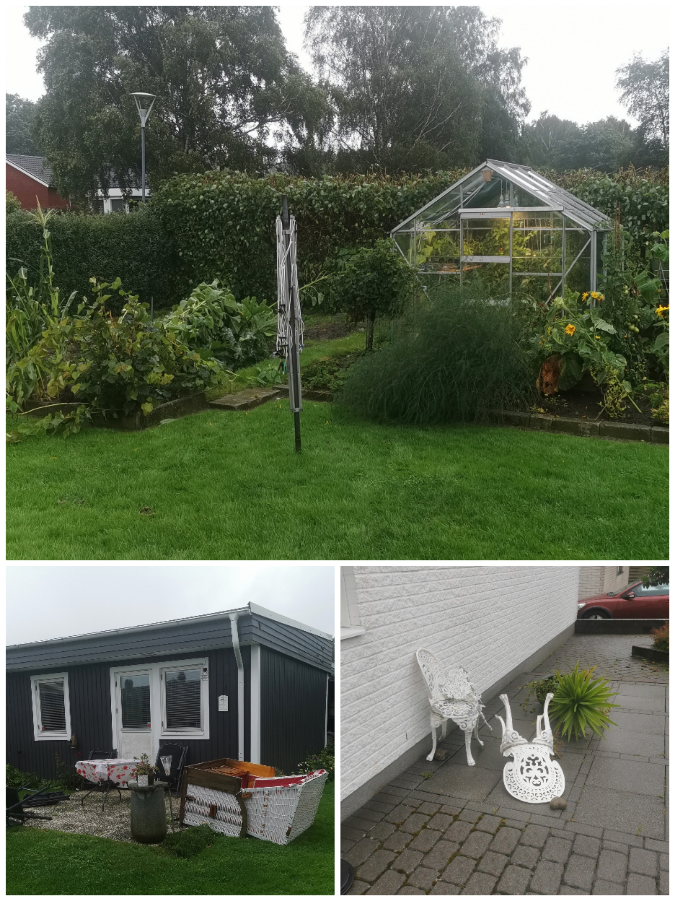 Collage_20230809_091338.jpg