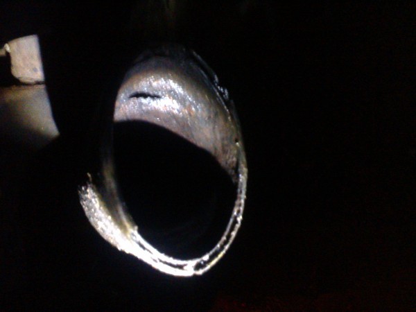 Foto0100.jpg
