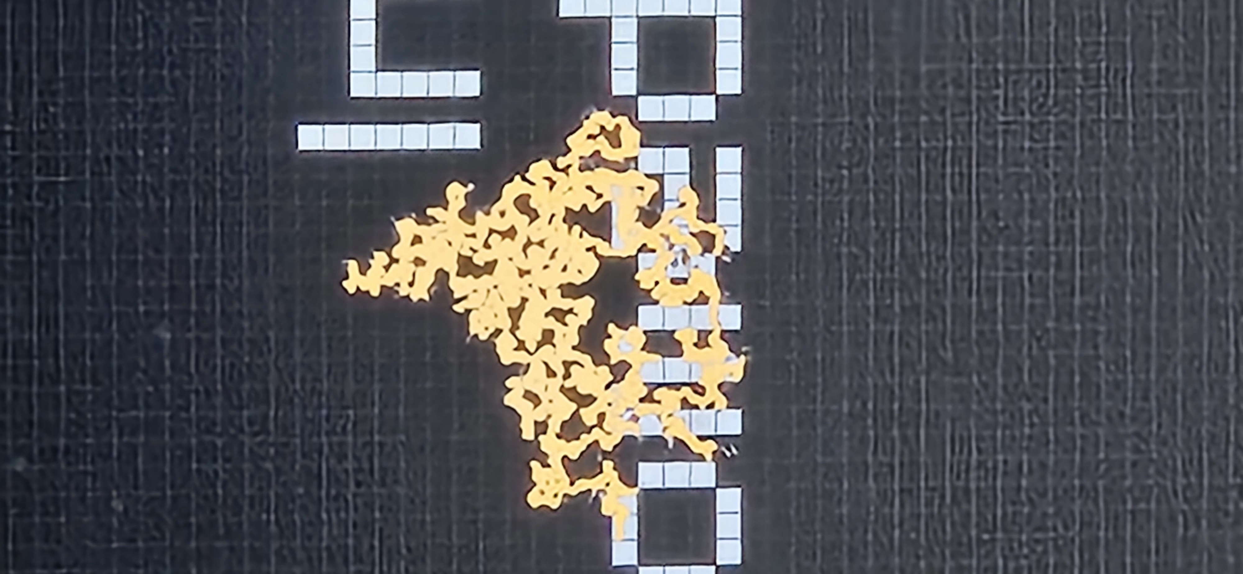 20240224_131626.jpg