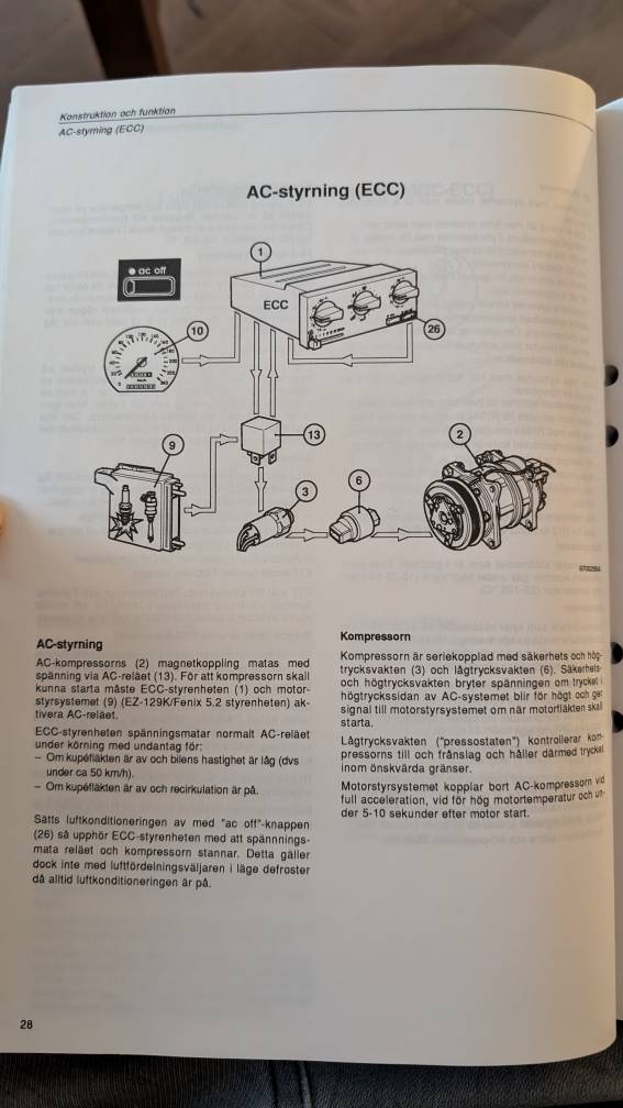 PXL_20240715_173110722.jpg