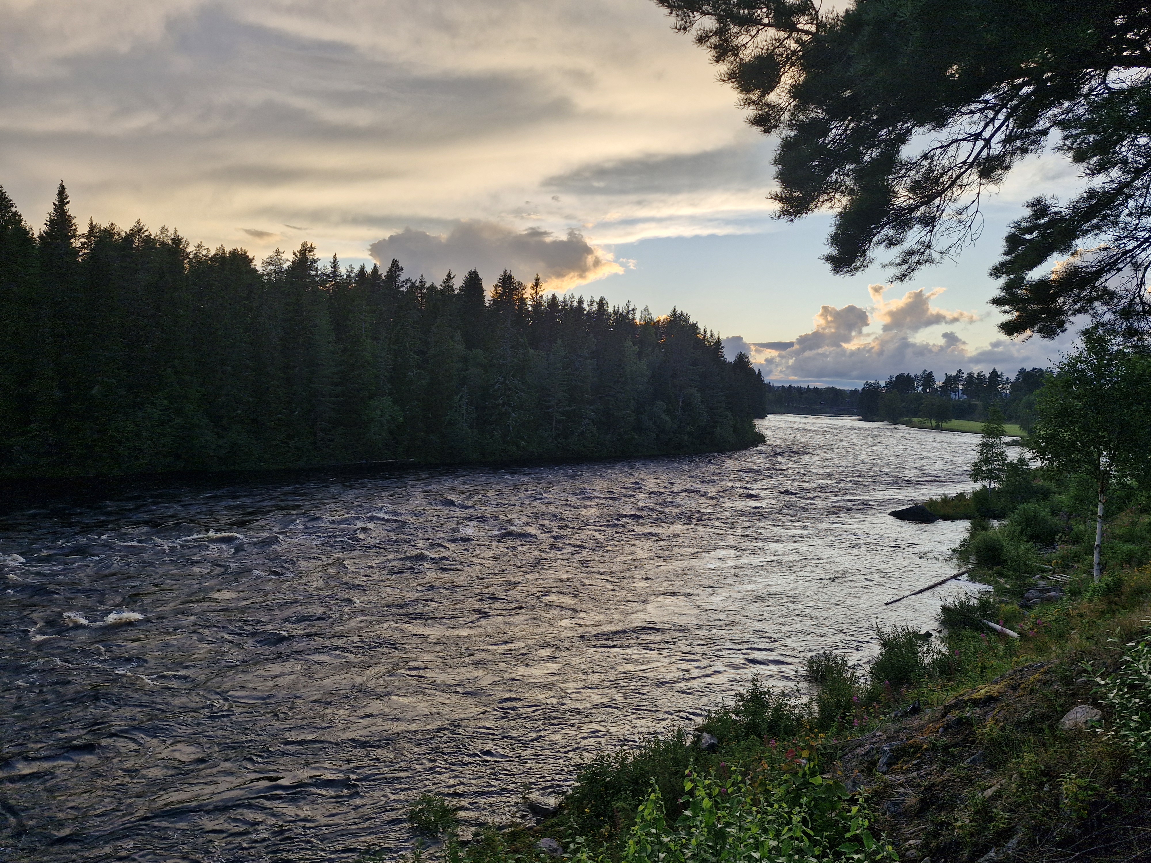 20240727_212035.jpg