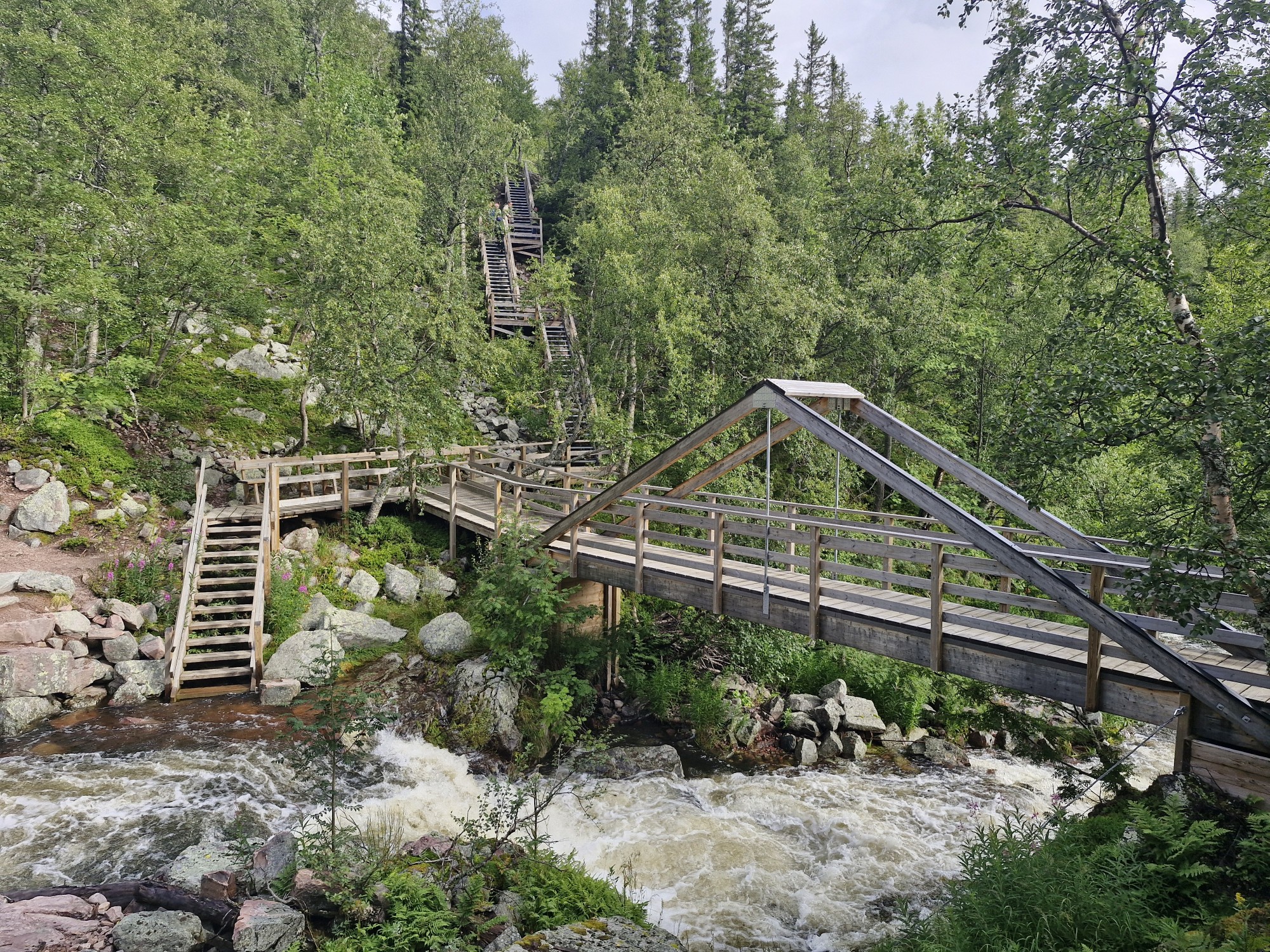 20240728_092020_copy_2000x1500.jpg