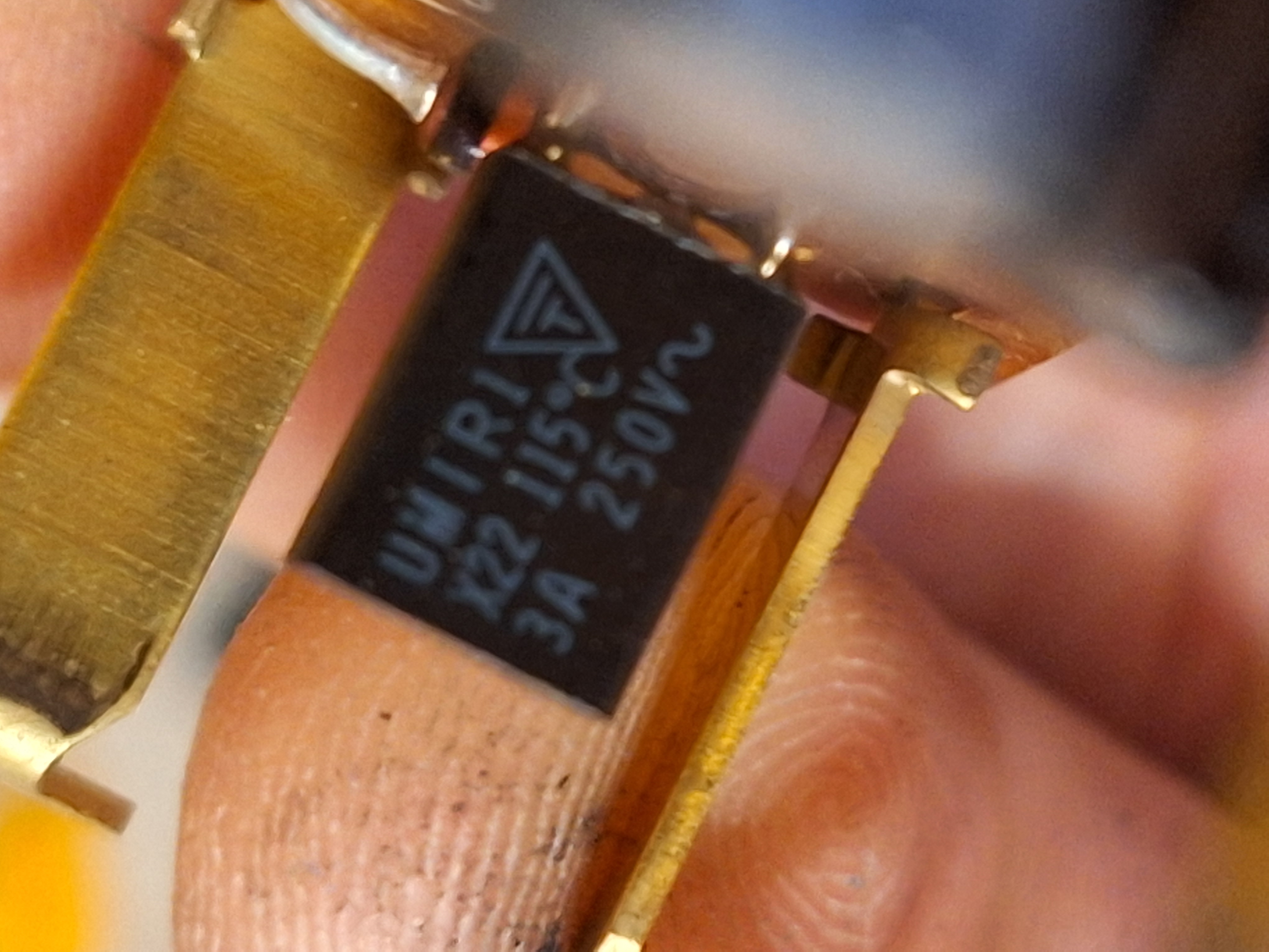 20240830_103238.jpg