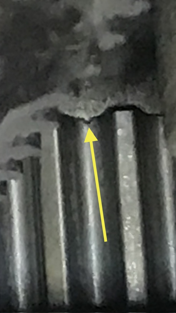IMG_2262.jpeg