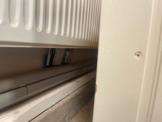 IMG_1550.jpeg