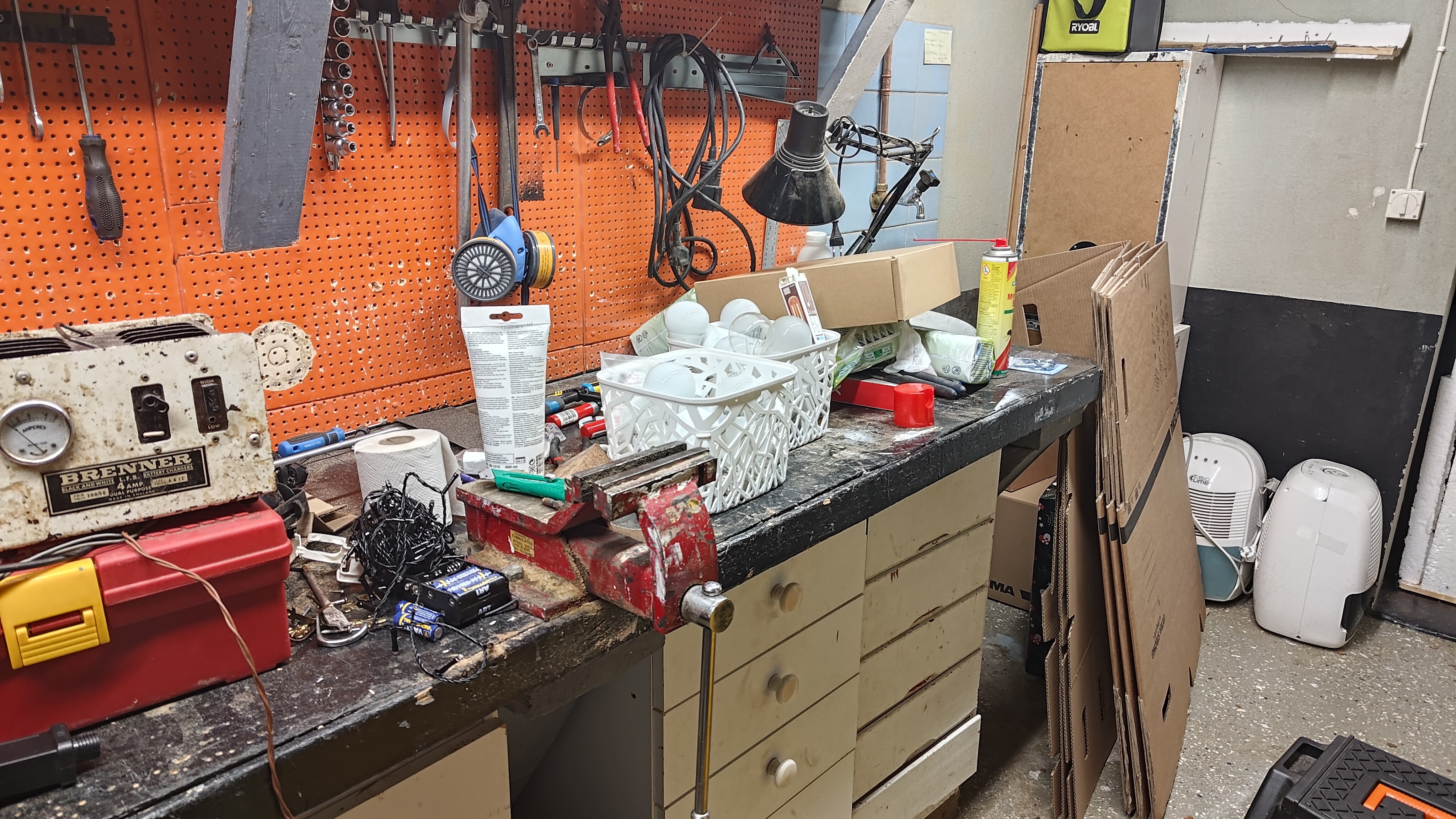 P_20241219_013052.jpg