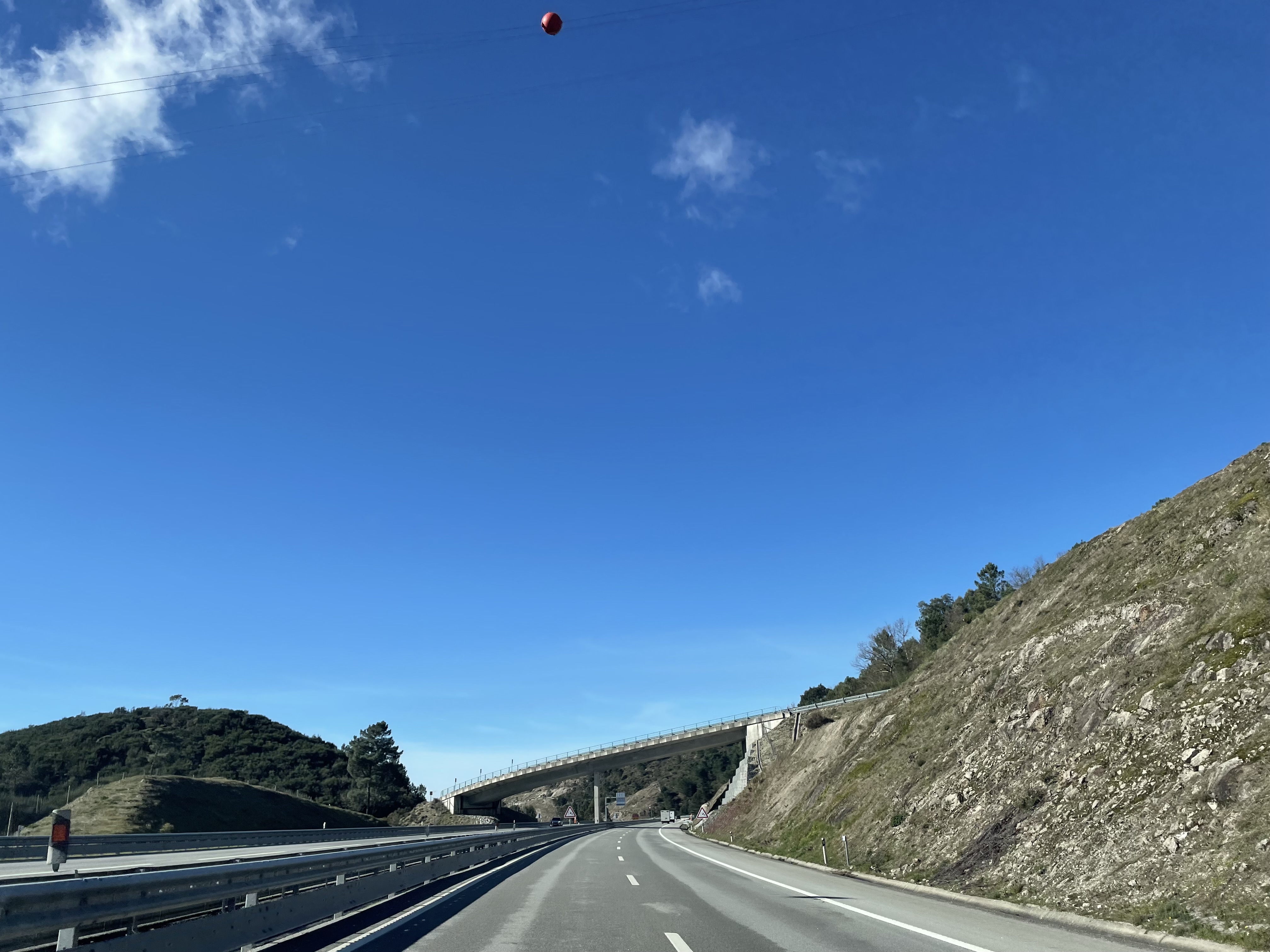 IMG_7432.jpeg
