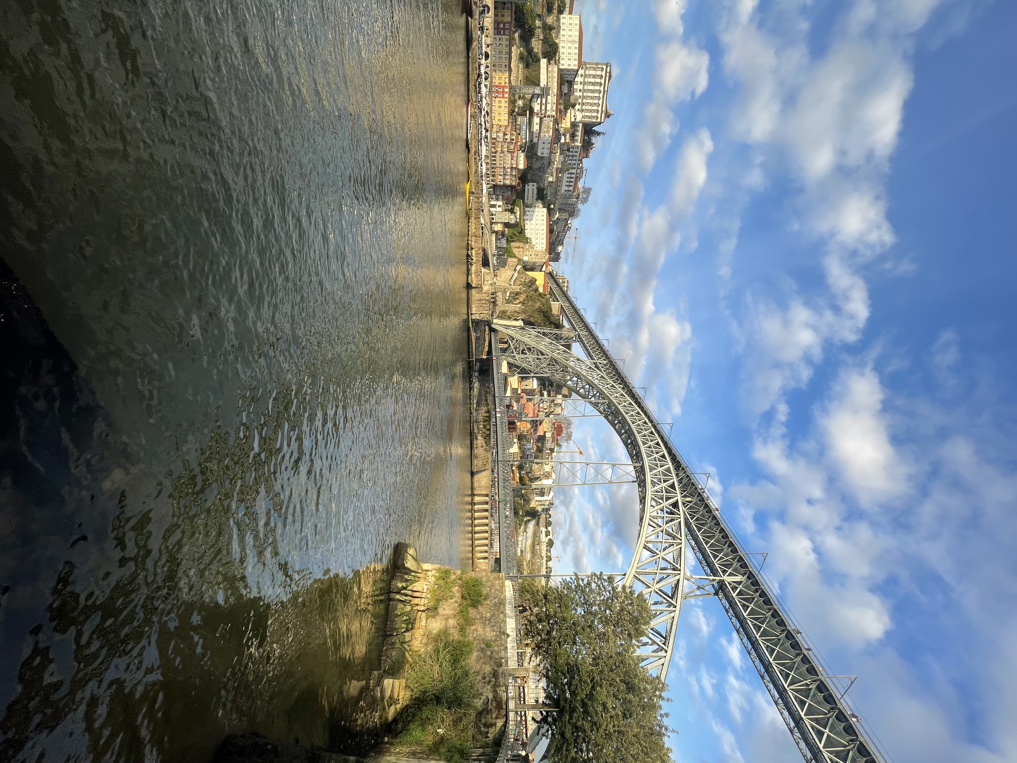 IMG_7515.jpeg