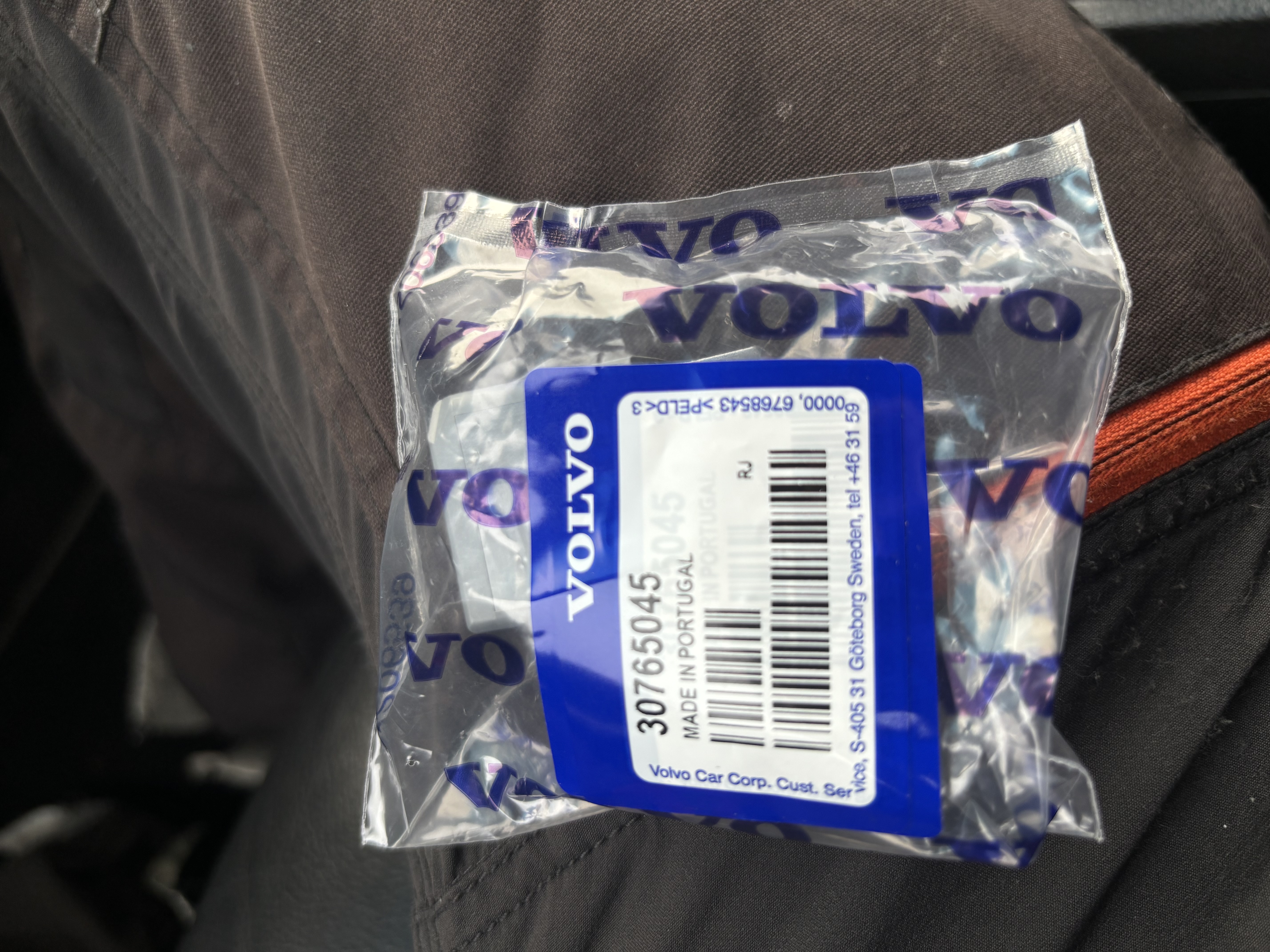 IMG_7181.jpeg