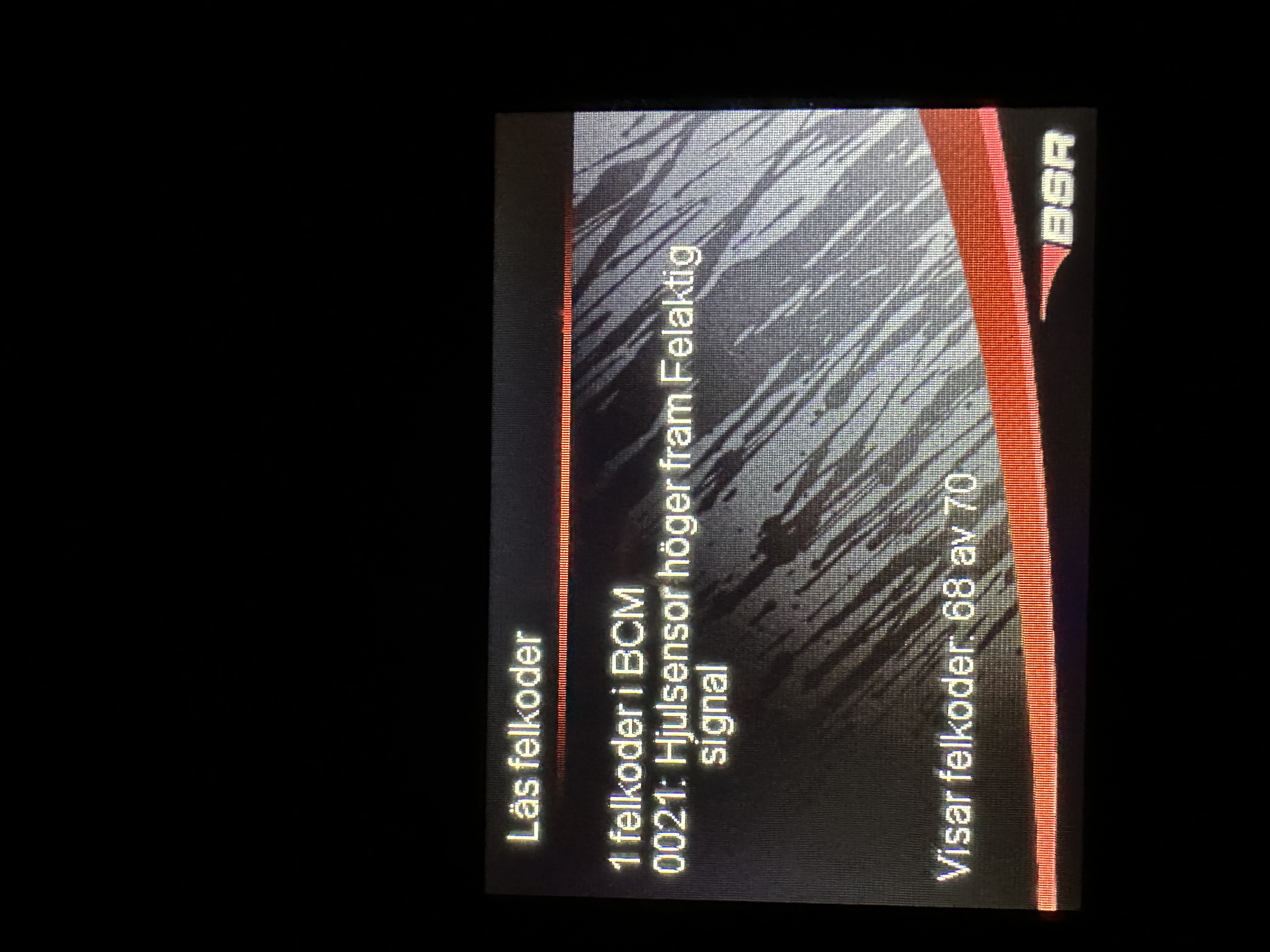 IMG_8029.jpeg