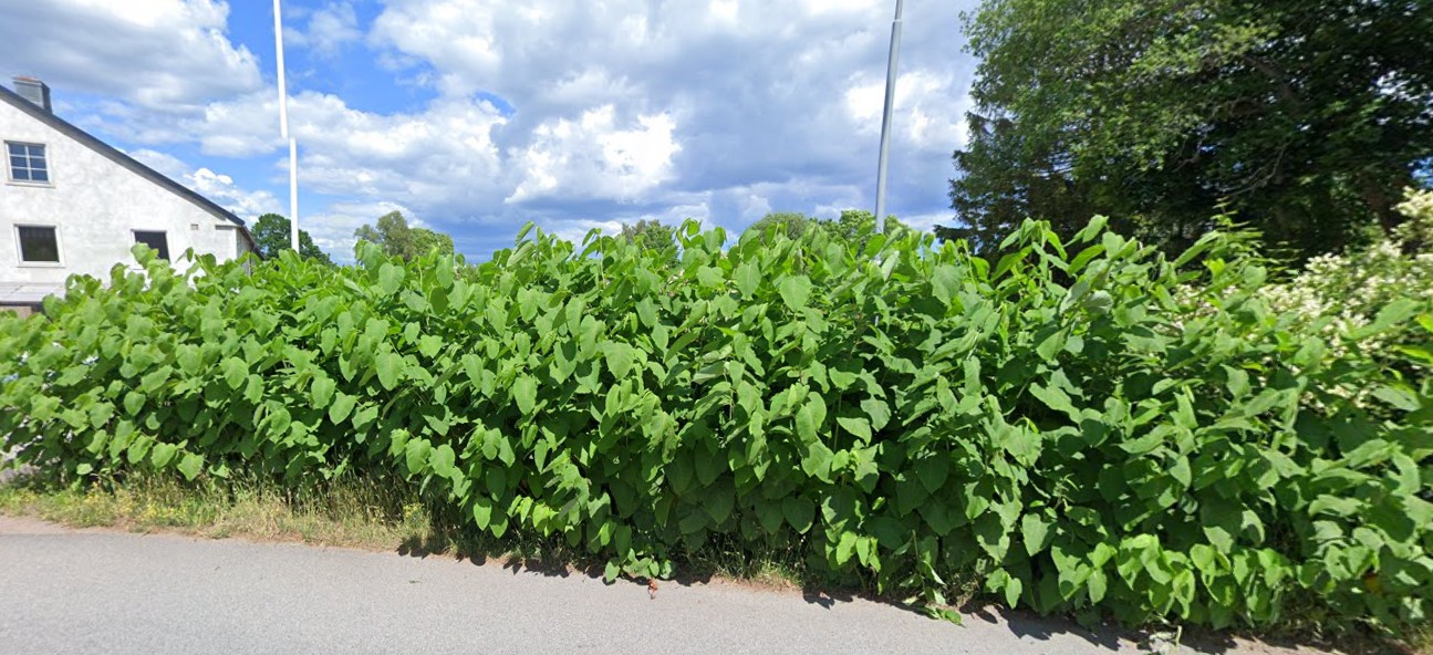 Skärmbild 2025-08-11 153650.jpg