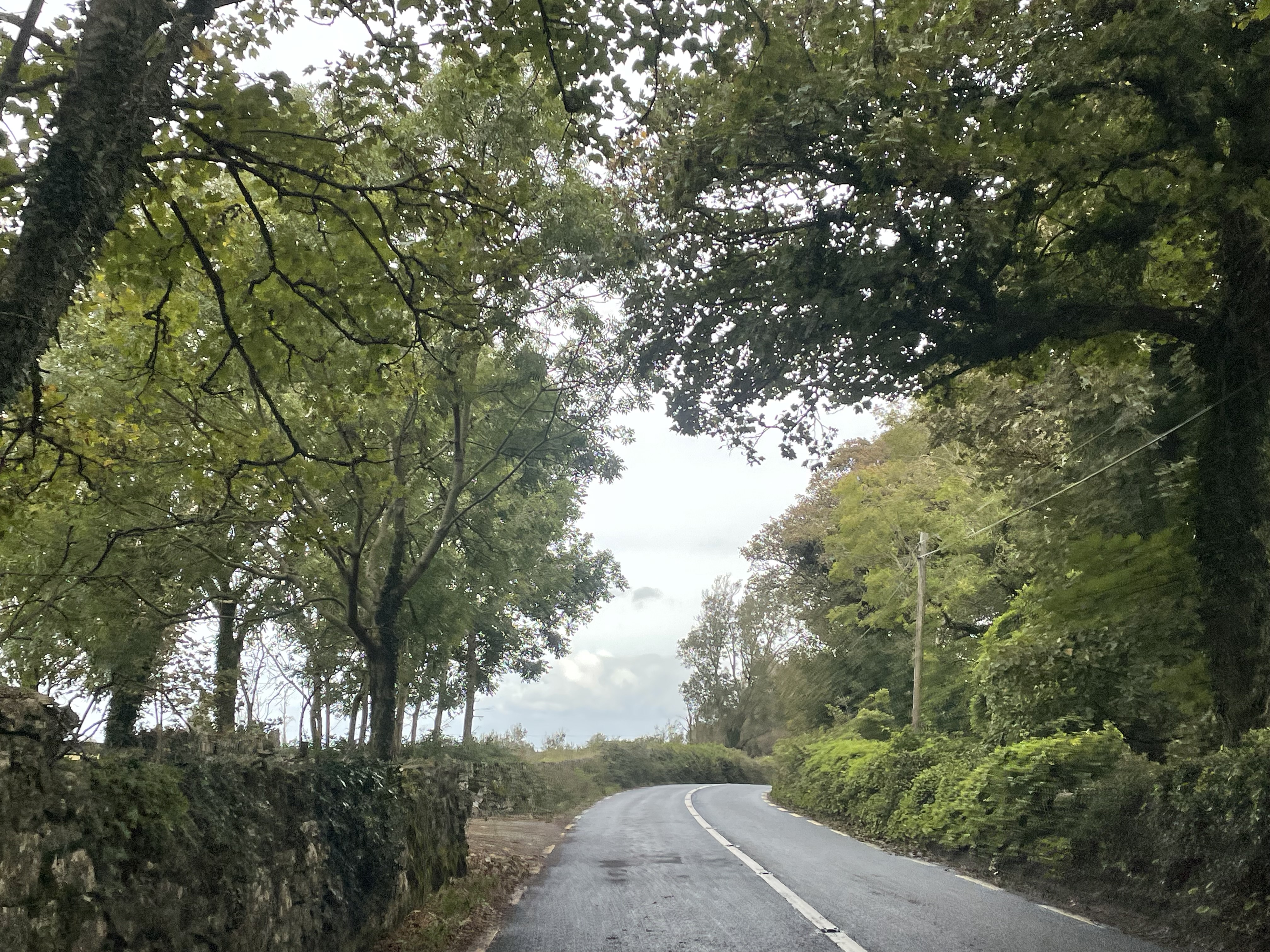 IMG_3829.jpeg