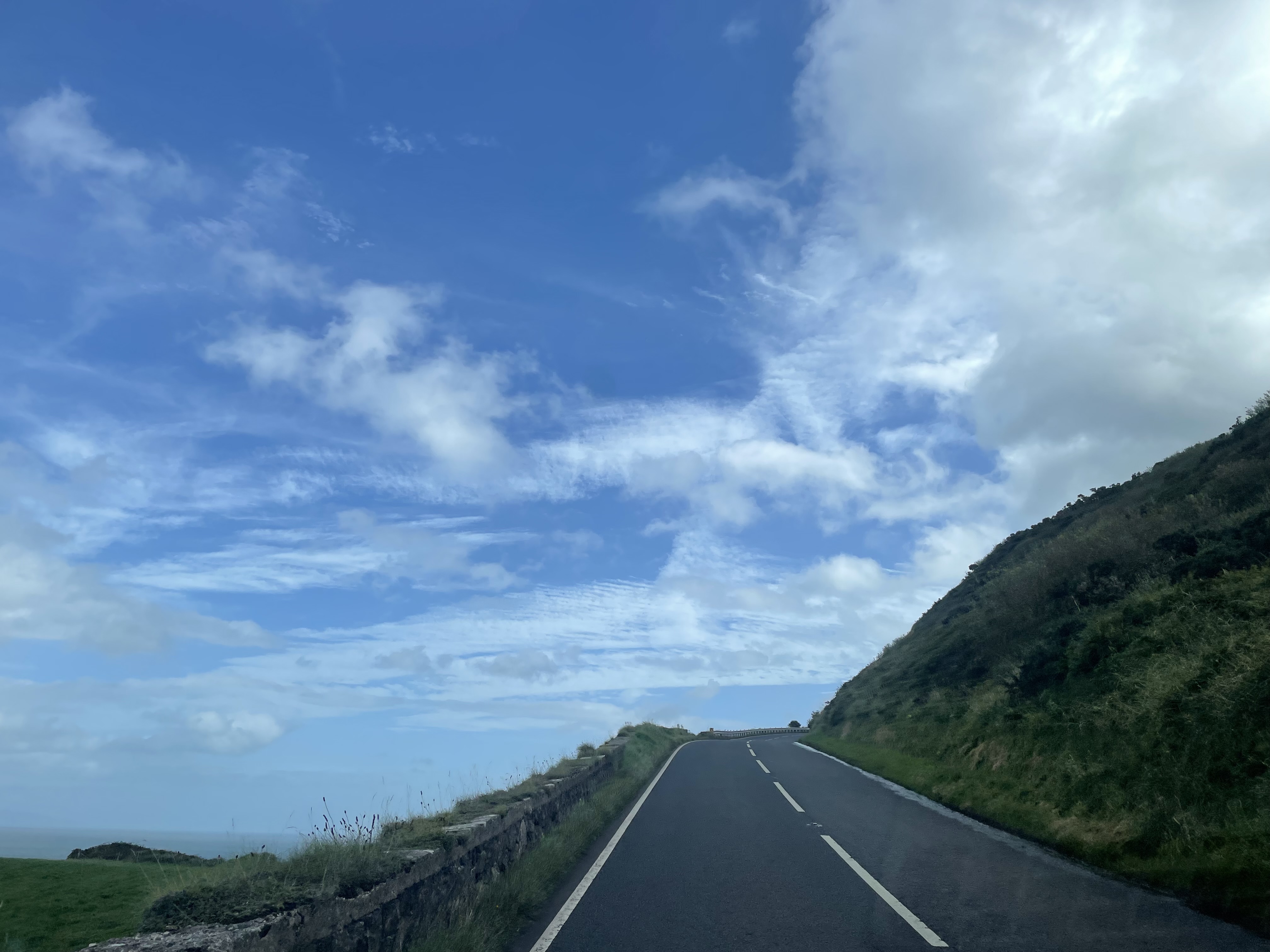 IMG_4218.jpeg