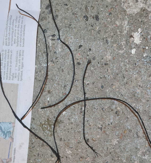 Multirem - bitar.png