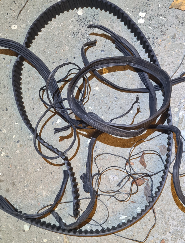 Kamremtrassel - mini.png