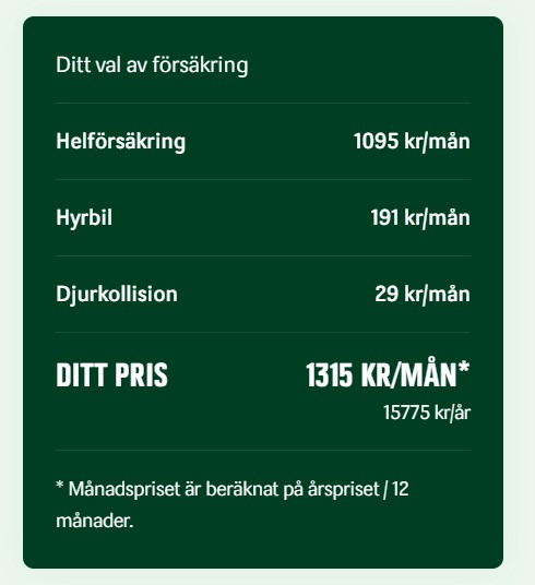 Dina Försäkringar.jpg