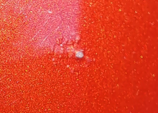 20260510_082840.jpg