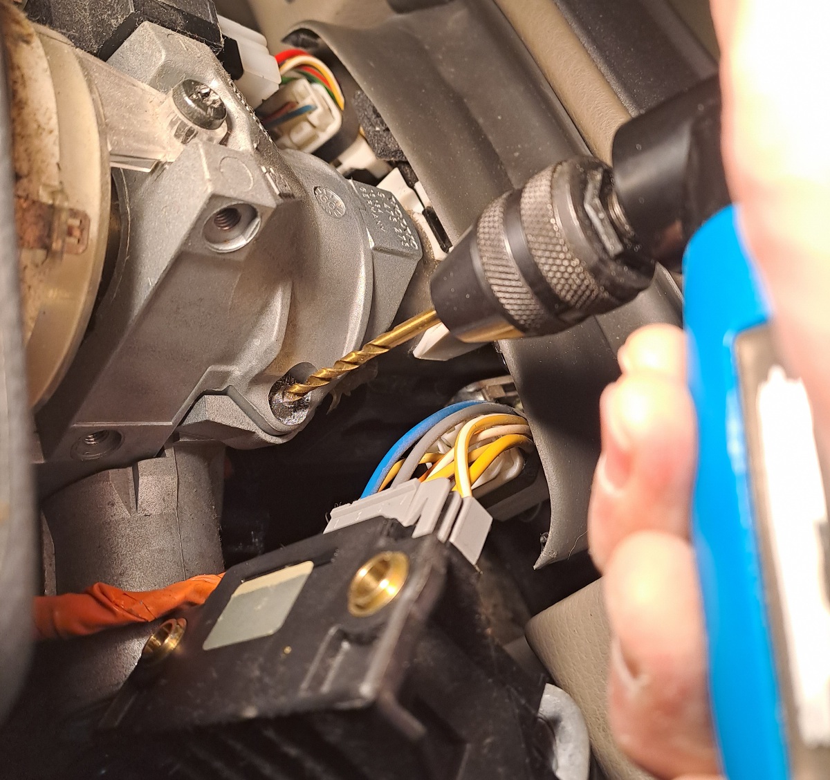 20260514_090927.jpg